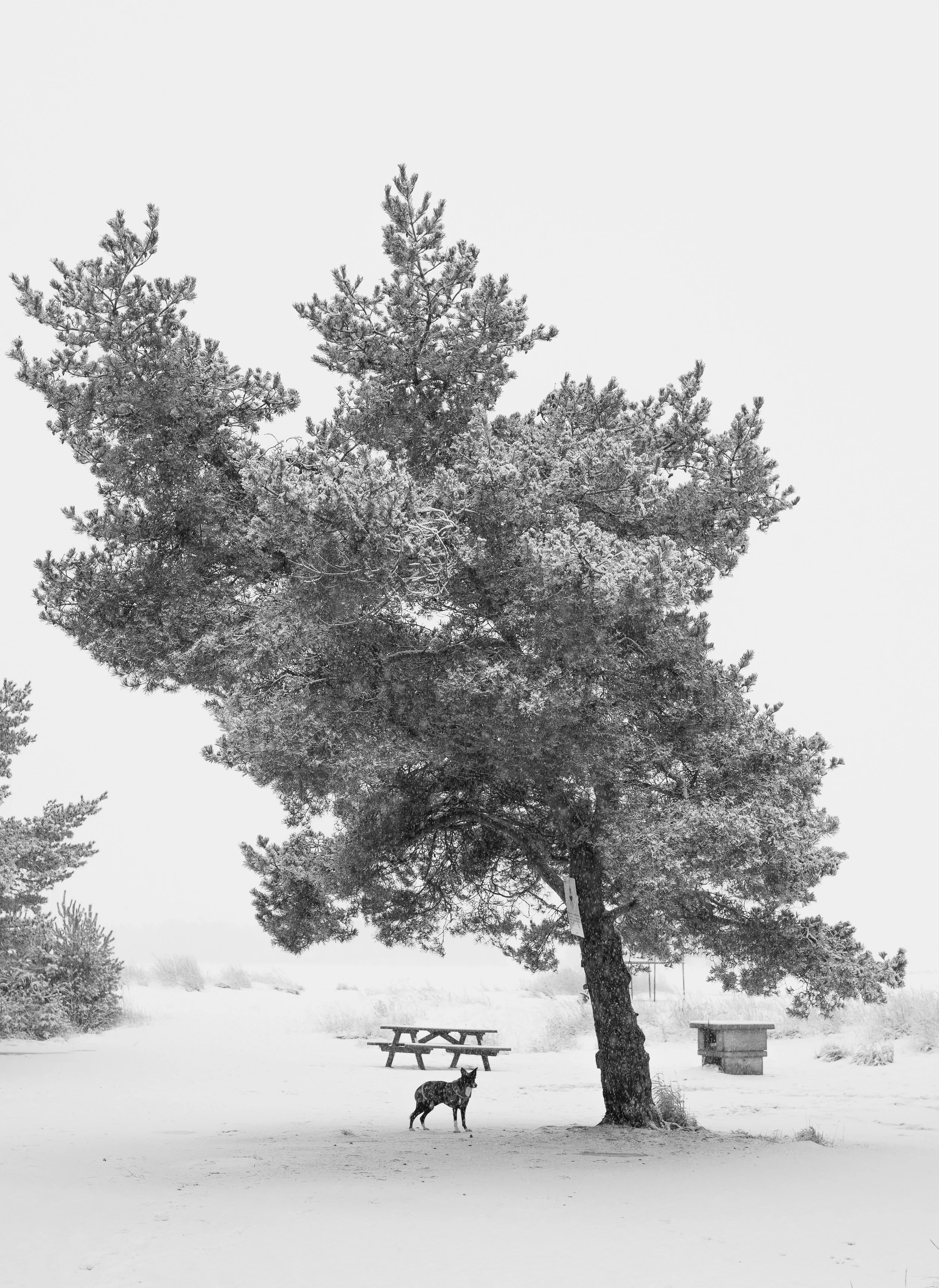 Esimerkki-25.jpg