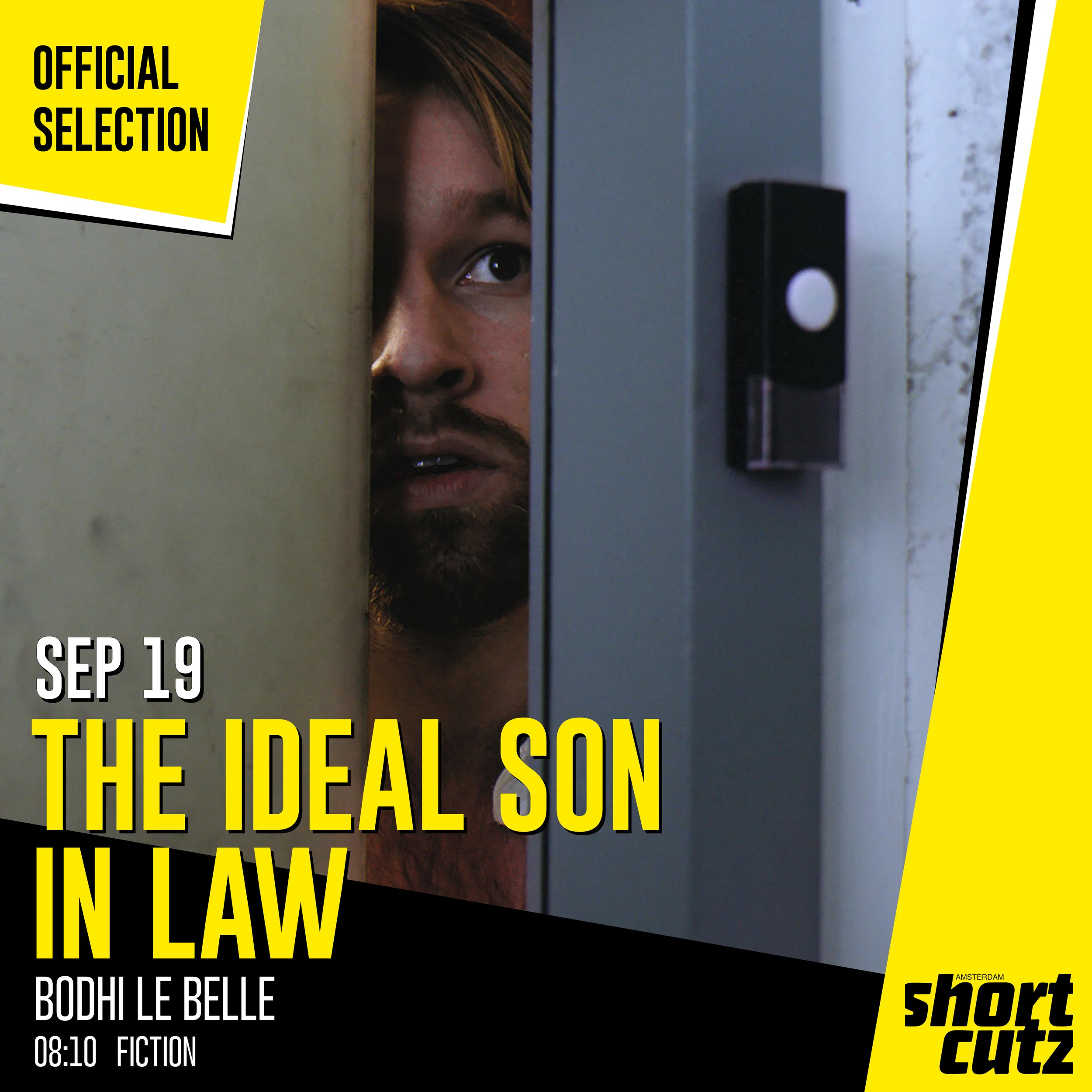 The ideal son in law.jpg