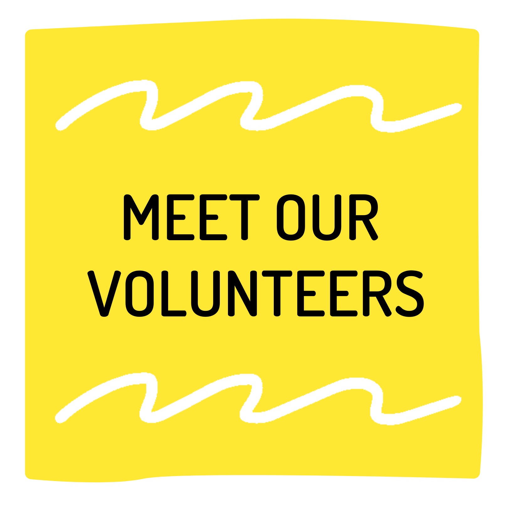Volunteer spotlight (1).png