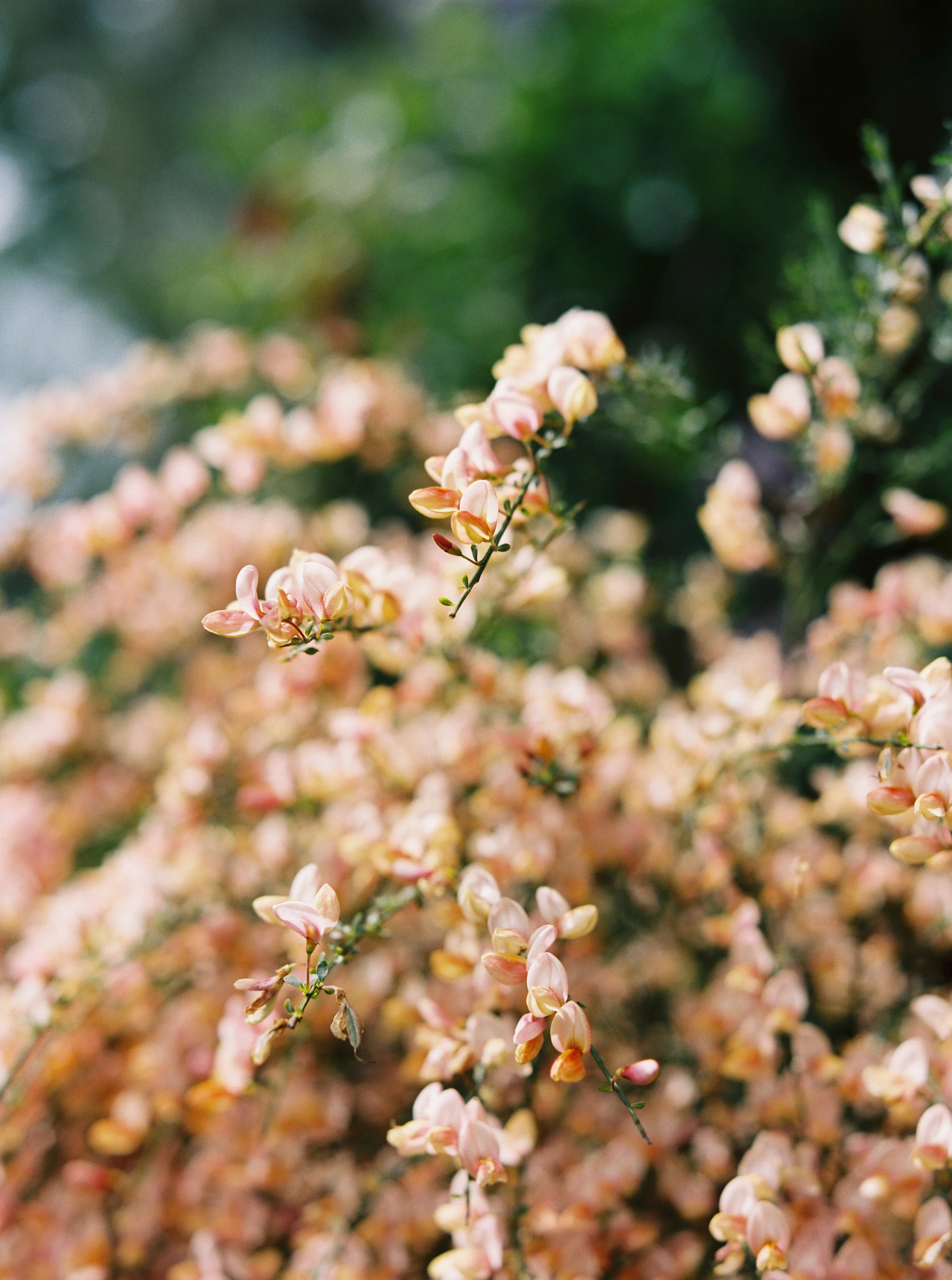 MM130613001255-12.jpg