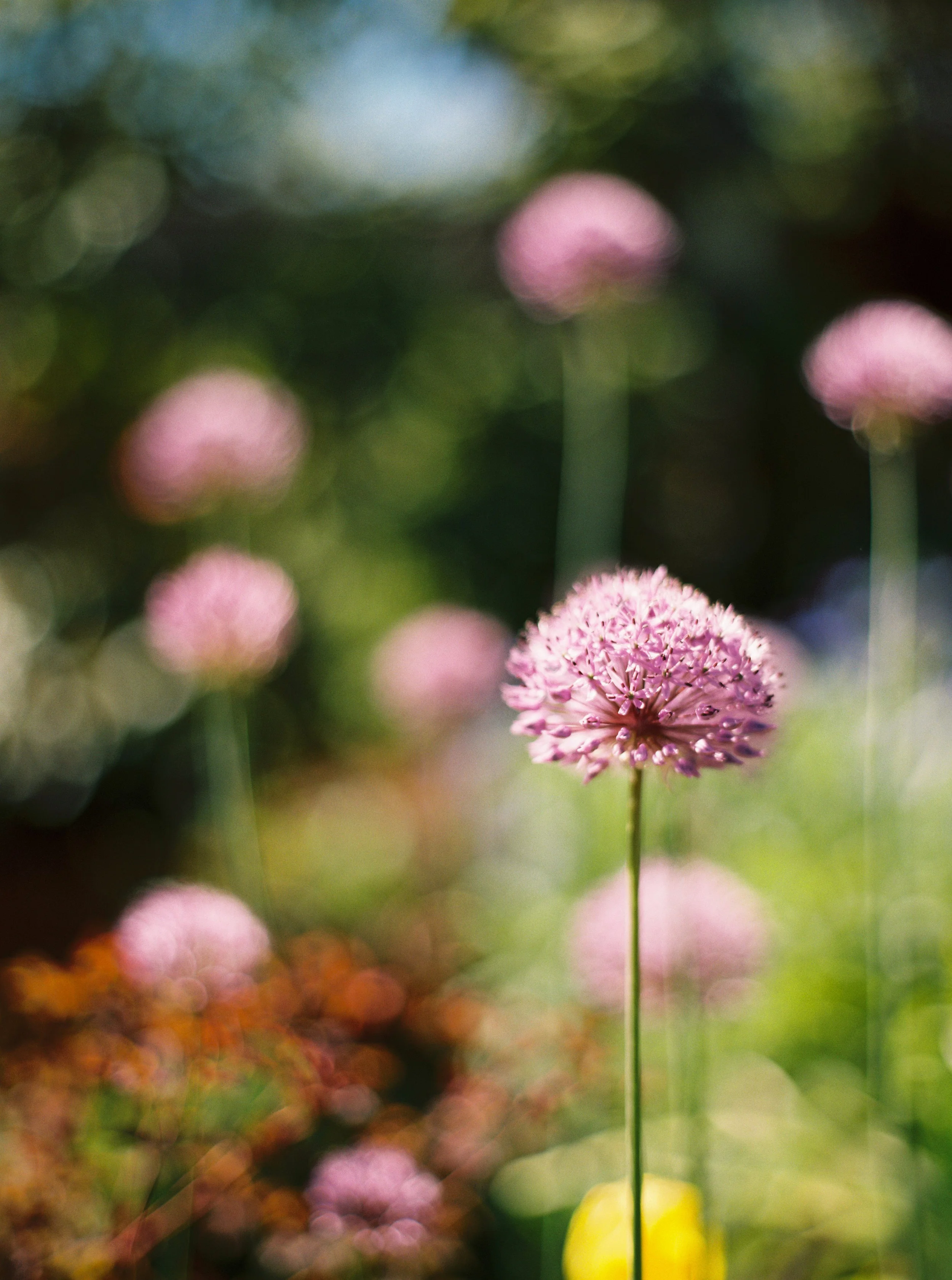 MM130613001260-5.jpg