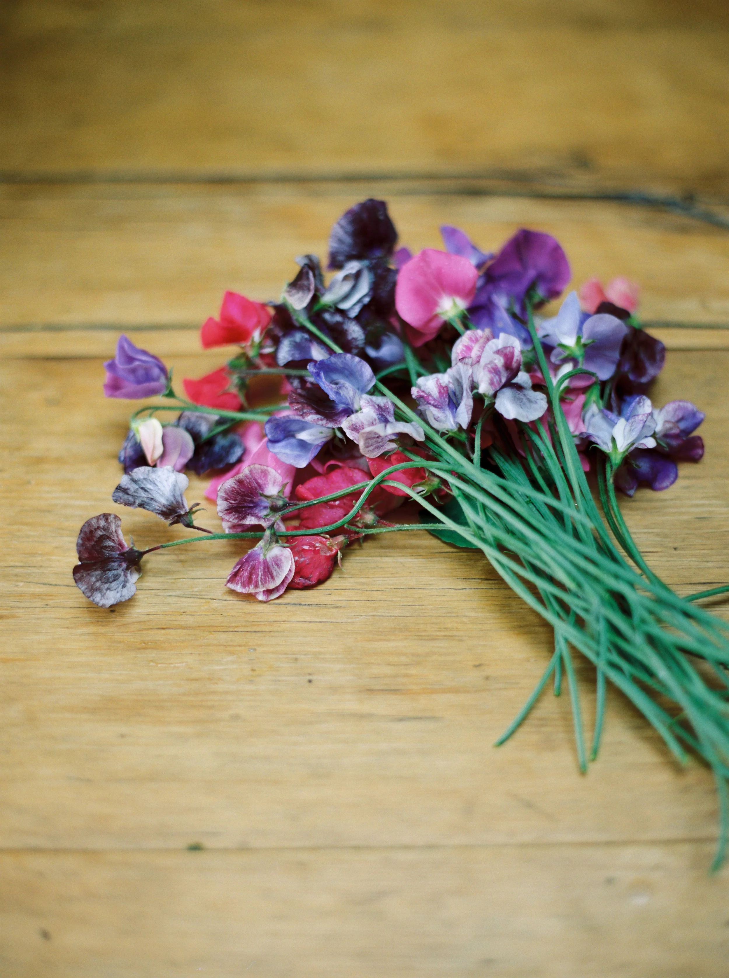 MM021014EX008057-03.jpg
