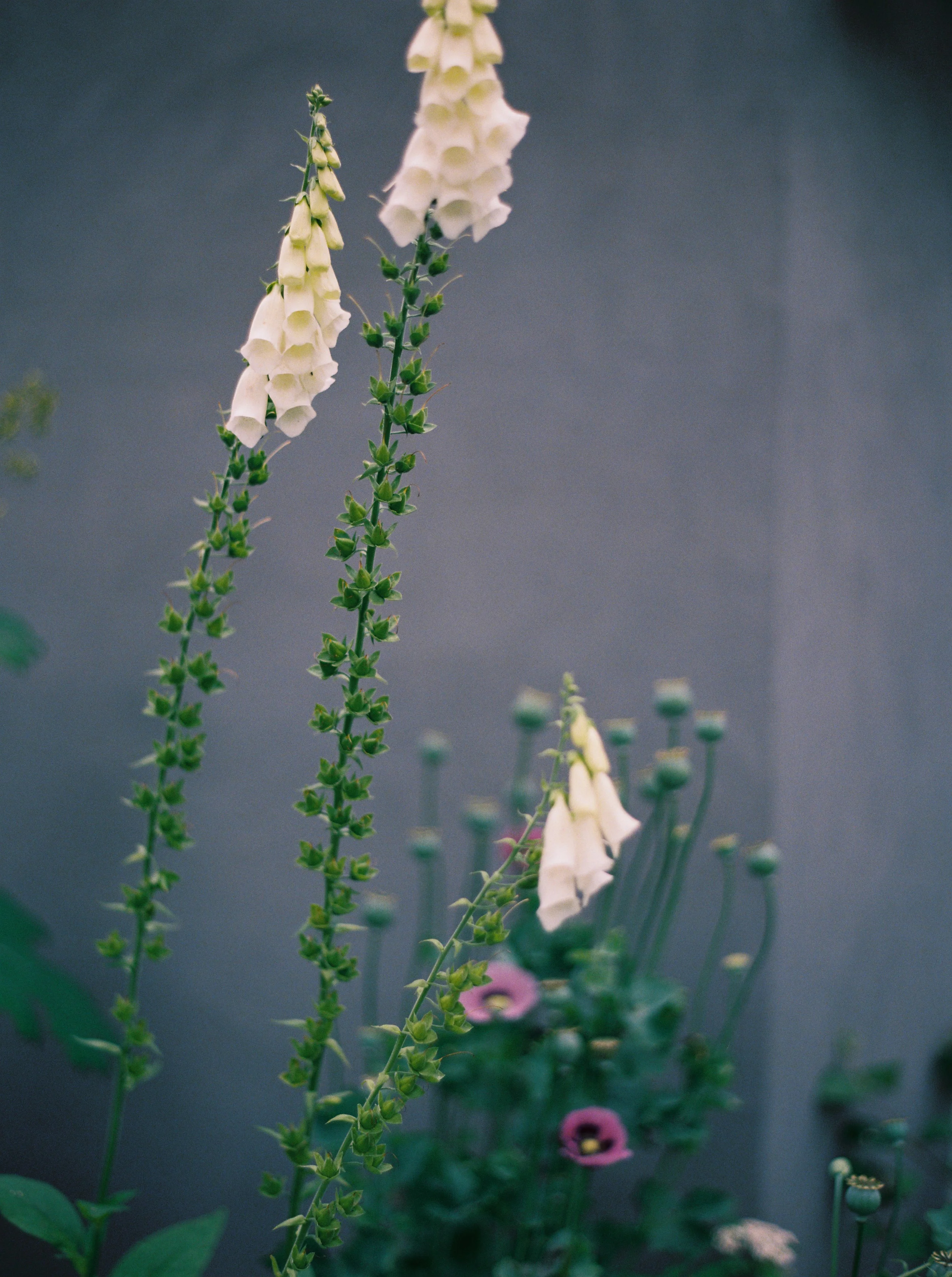 MM240915003940-08.jpg