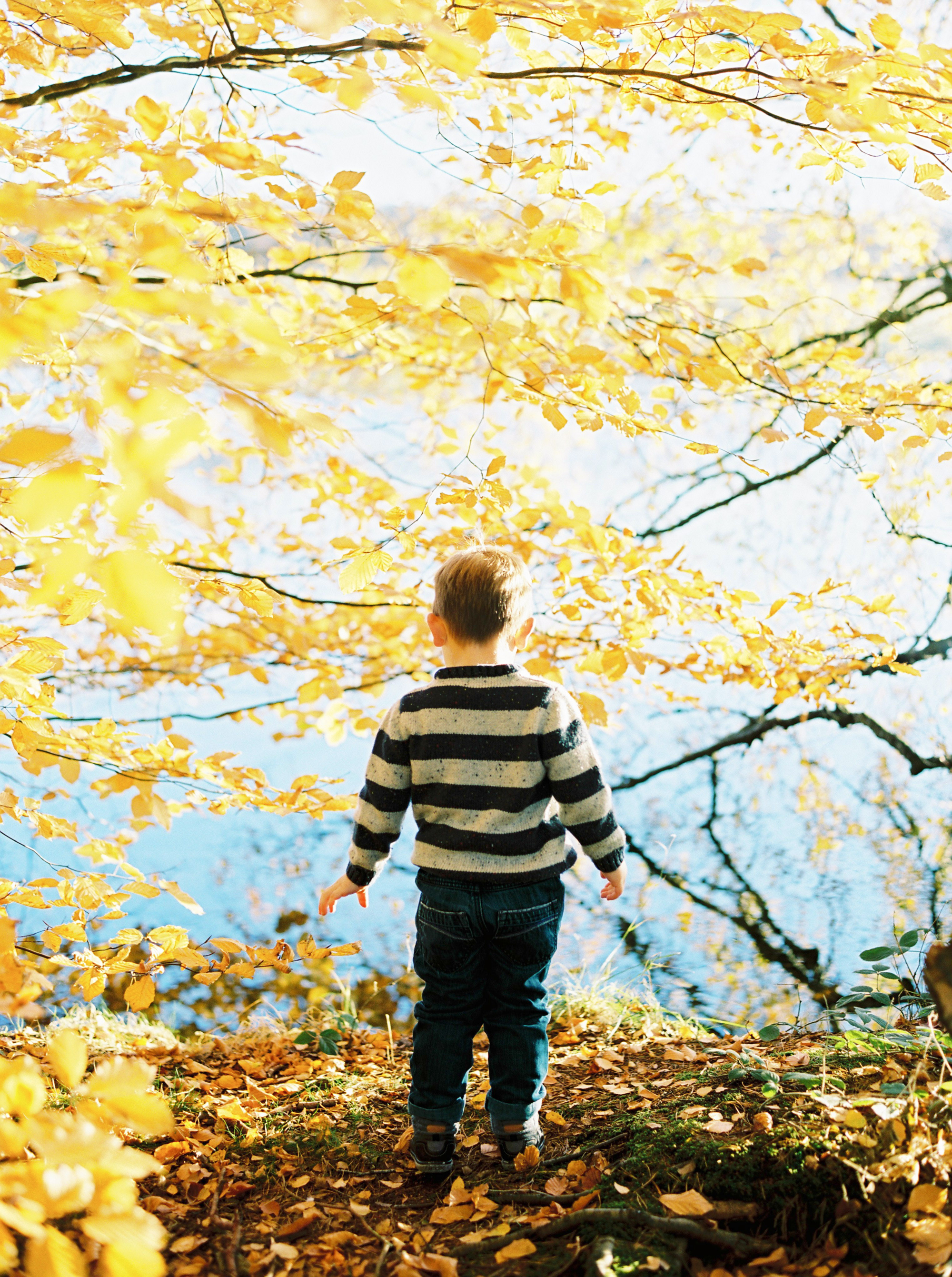family_photographer_cumbria22.png