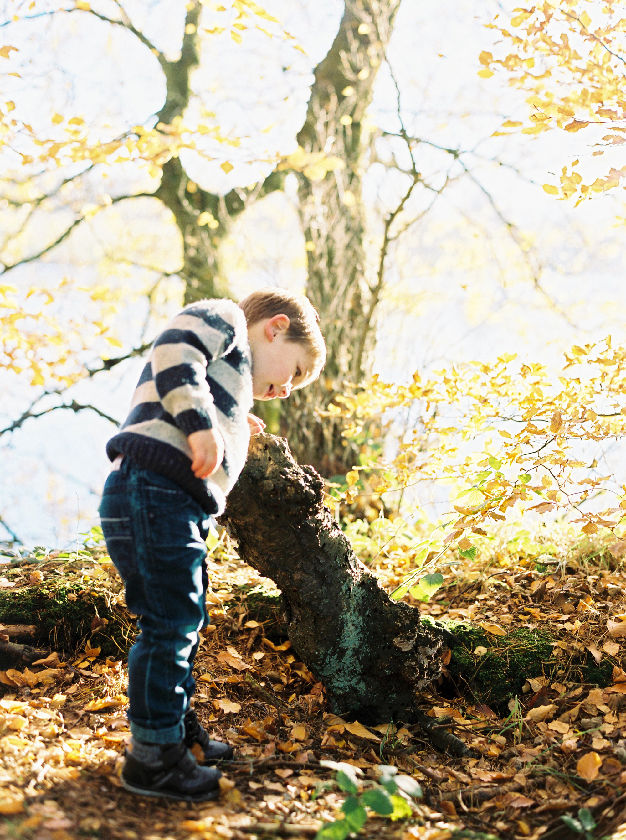 family_photographer_cumbria23.png