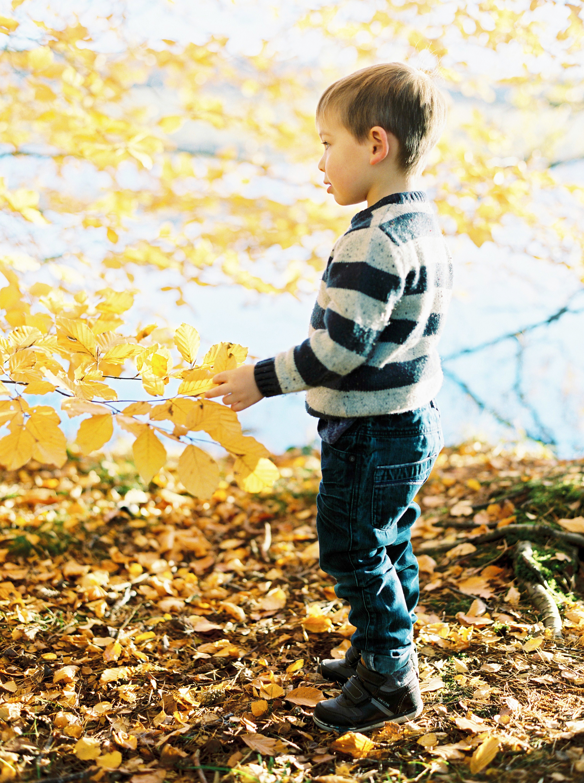 family_photographer_cumbria24.png