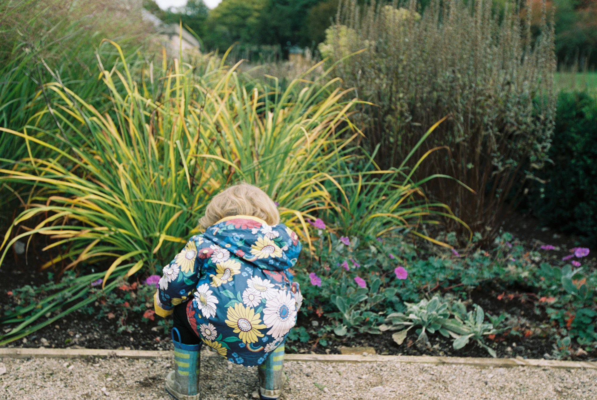 family-photographer-lakedistrict (3).jpg