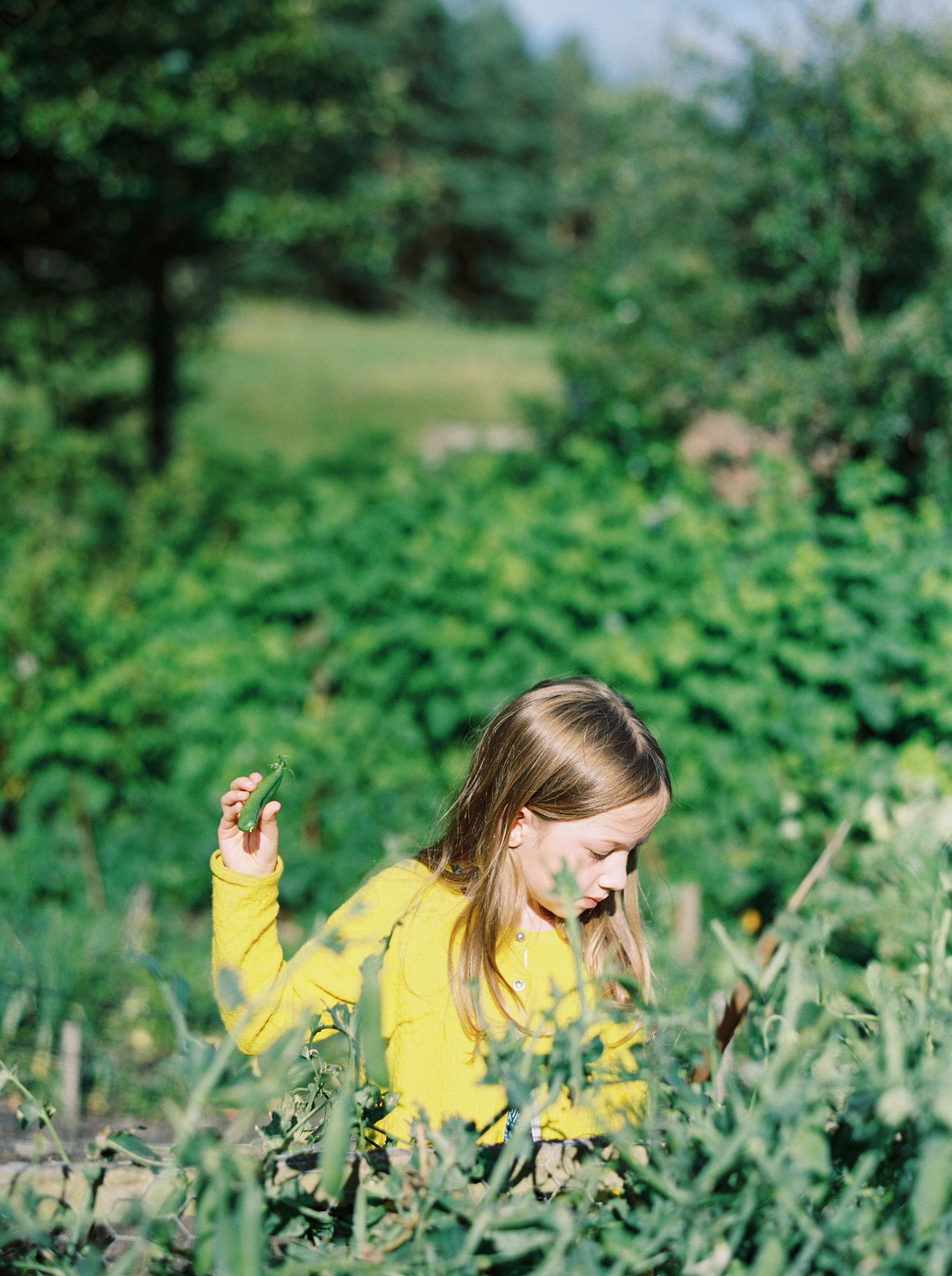 cumbria-family-photographer (8).jpg