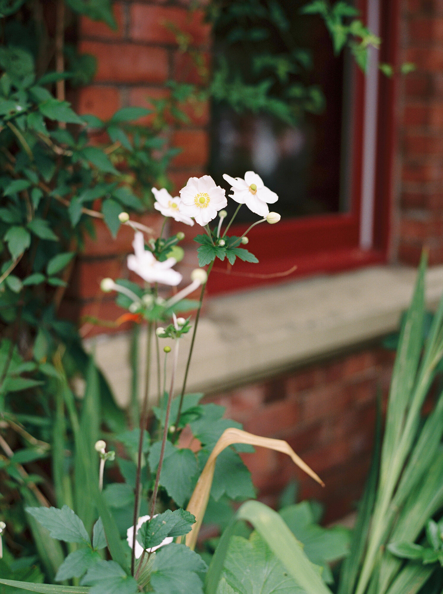 branding_photographer_cumbria088.jpg