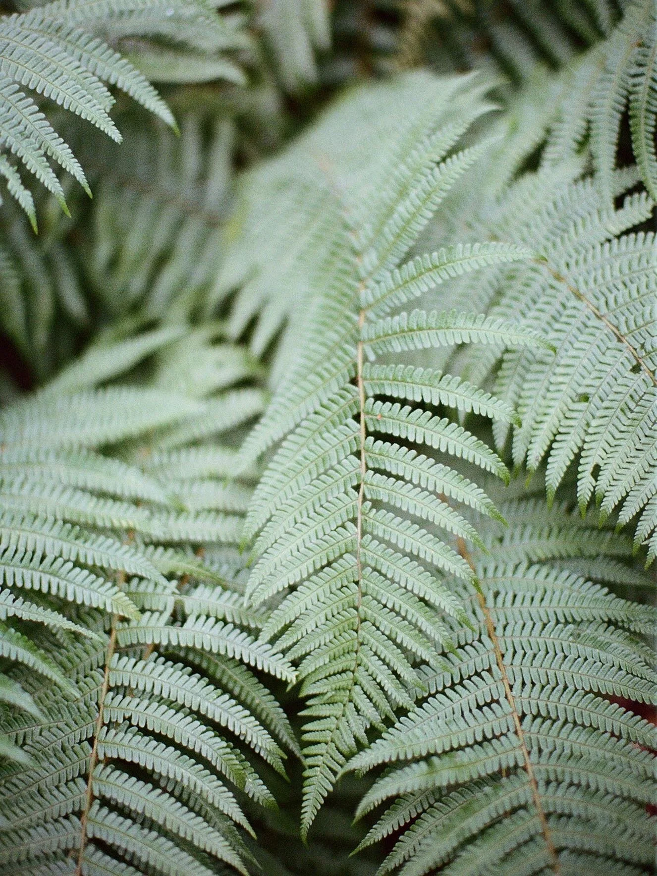 Lots going on behind the scenes at MMP, lots to share soon! Just a little calm post today amidst the busy summer days. I took some time out this morning even though I didn&rsquo;t feel I had the time and I&rsquo;m so pleased I did. I had a full body 