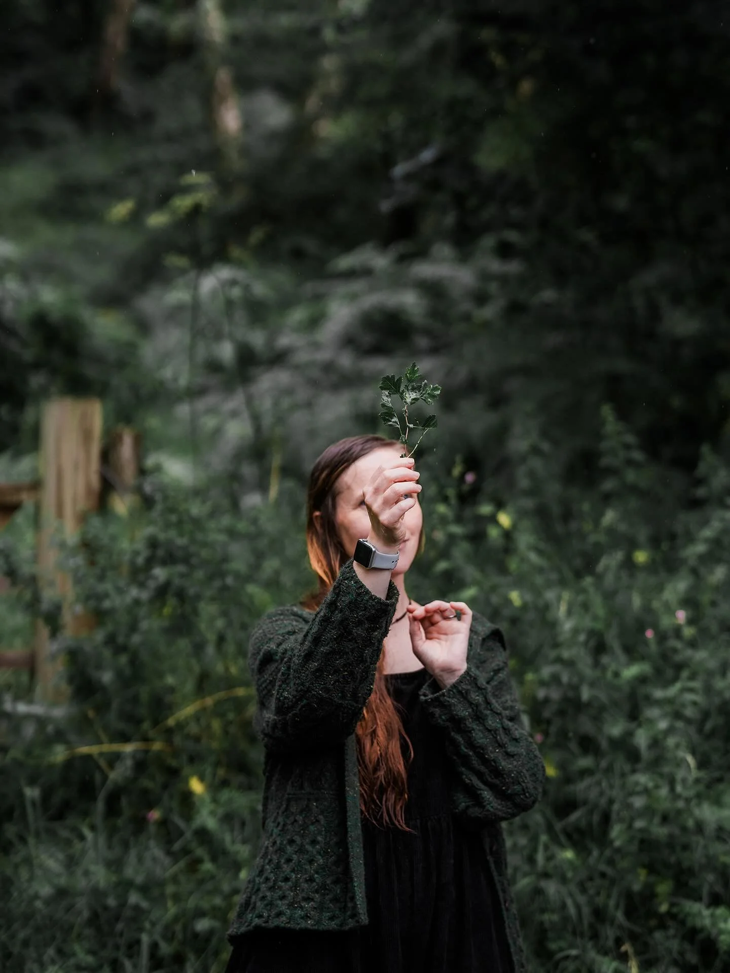 A couple of months ago I had the absolute pleasure of photographing one of @wild_and_weeds foraging courses. It was such an eye opening experience for me. Discovering so many uses for the plants that surround us, nature really is wonderful. Bex was r