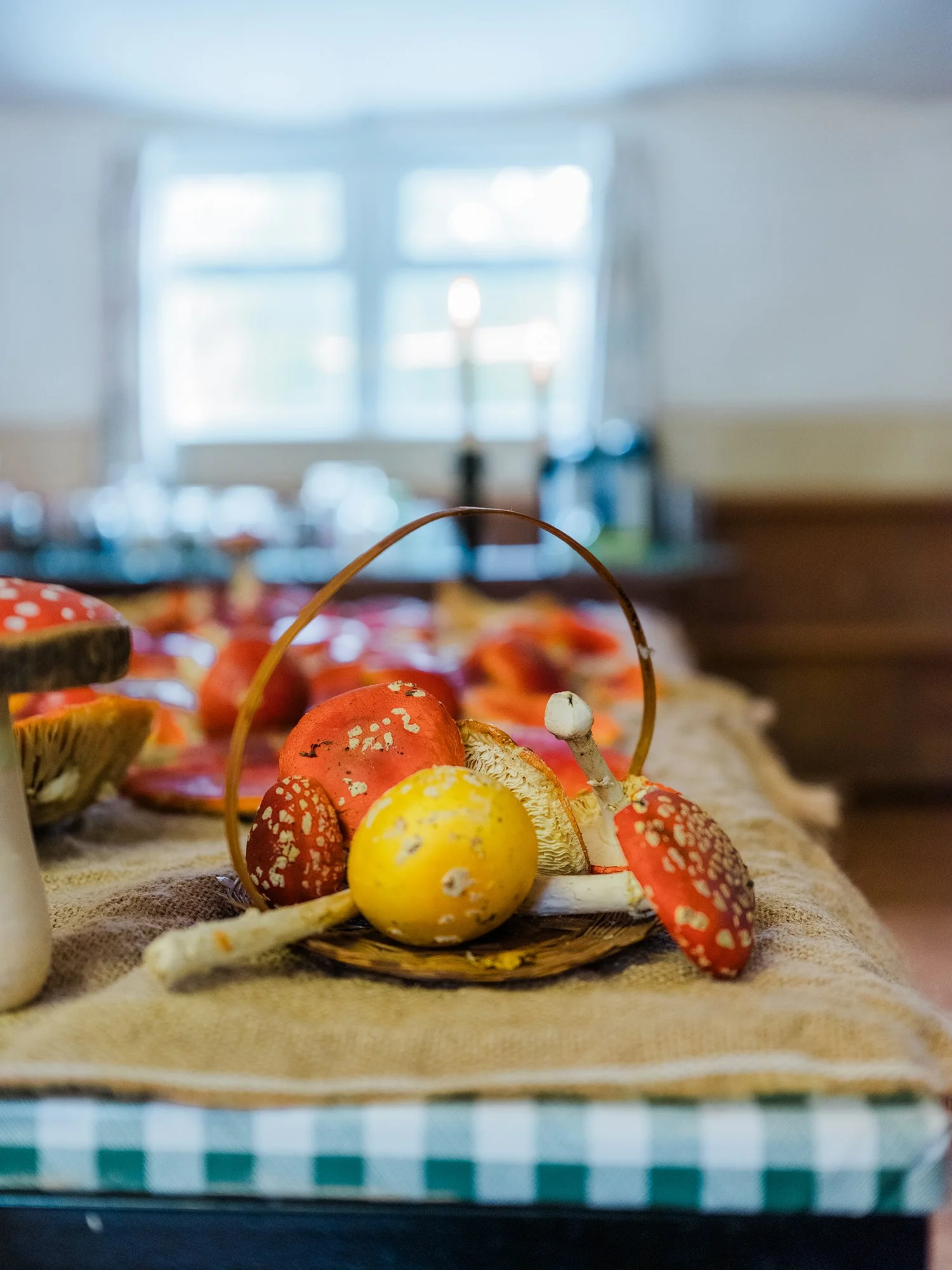 Fly agaric  082.jpg