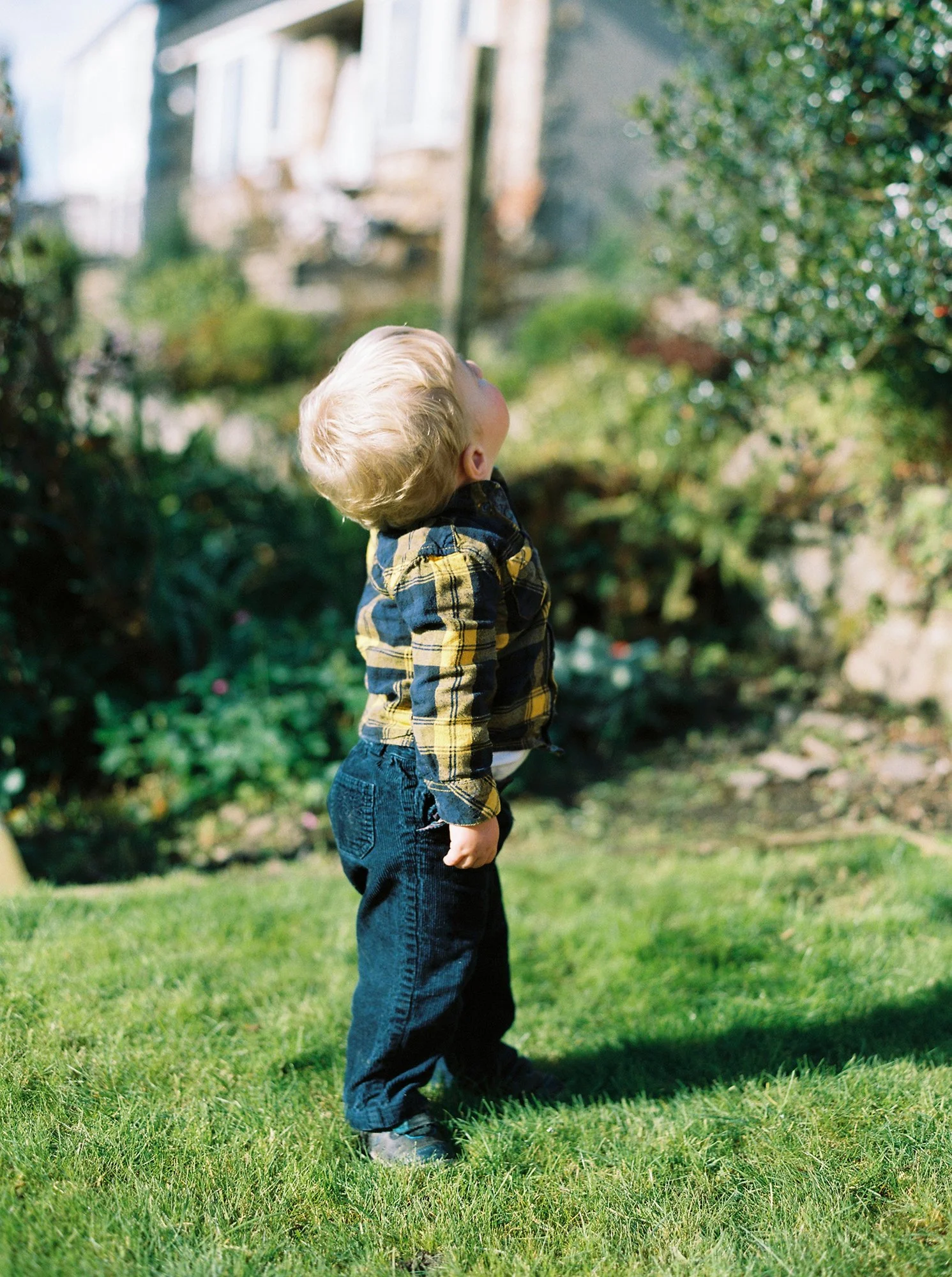 natural_family_photographer   (15).jpg