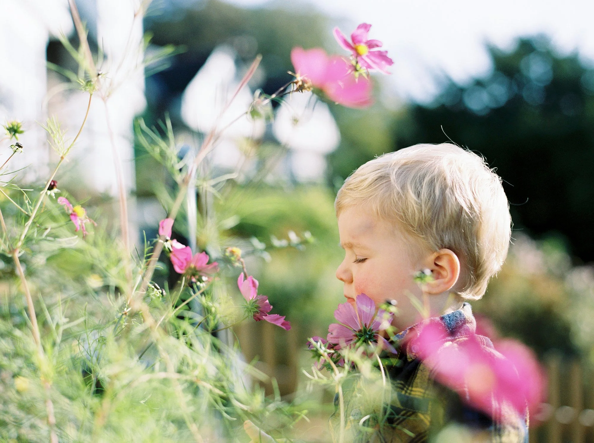 natural_family_photographer   (26).jpg