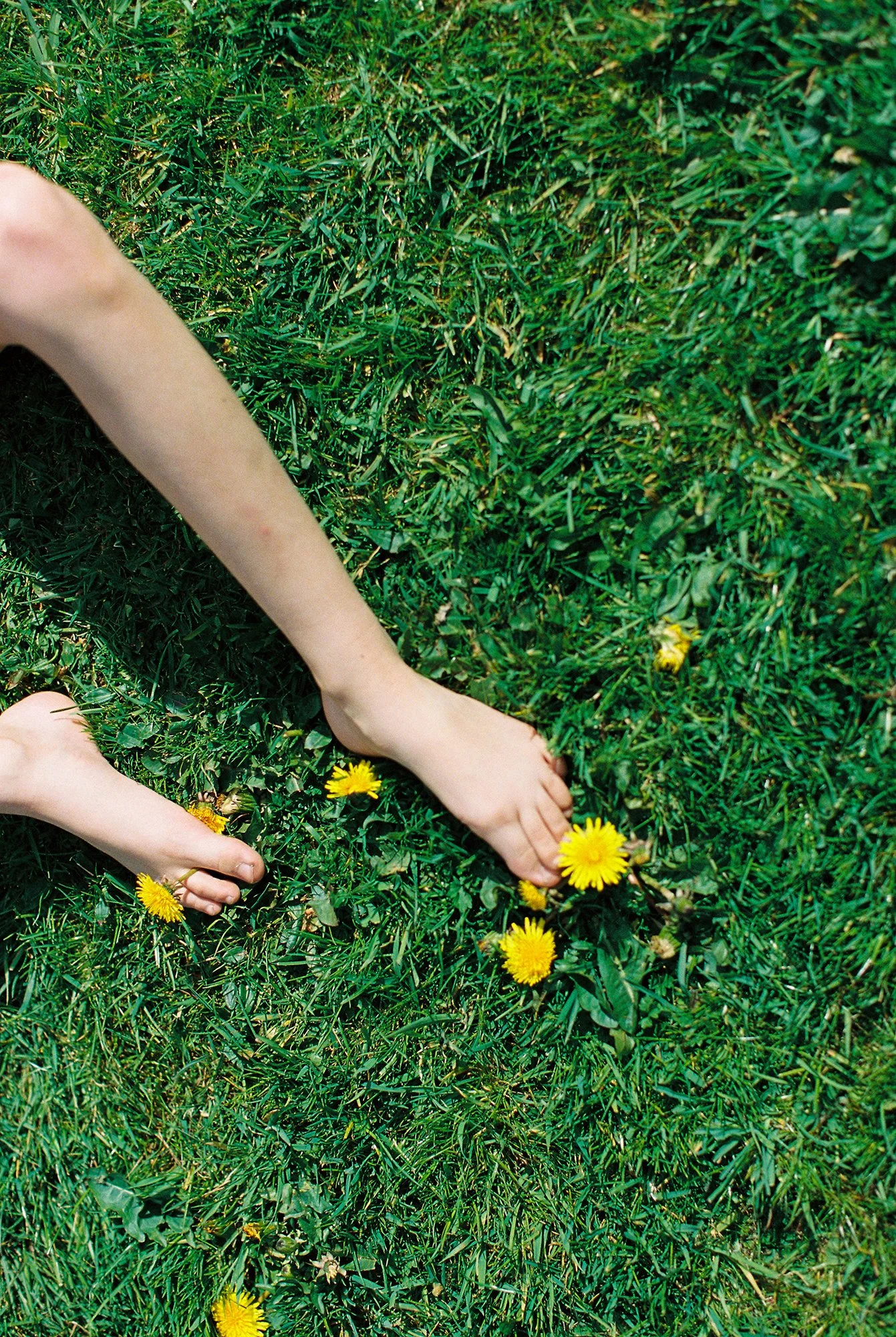 cumbria_family_photohgrapher (11).jpg