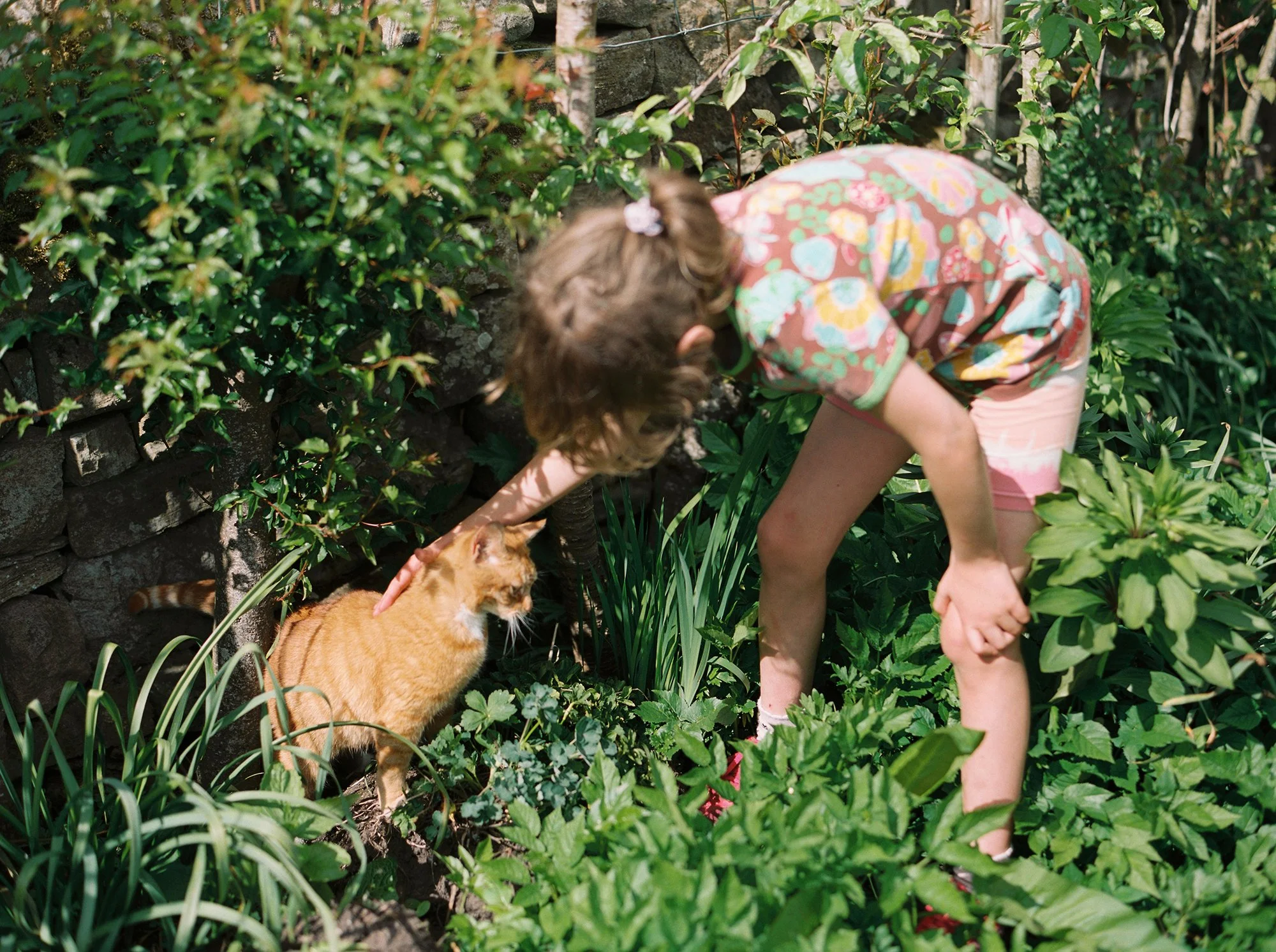 cumbria_family_photohgrapher (17).jpg