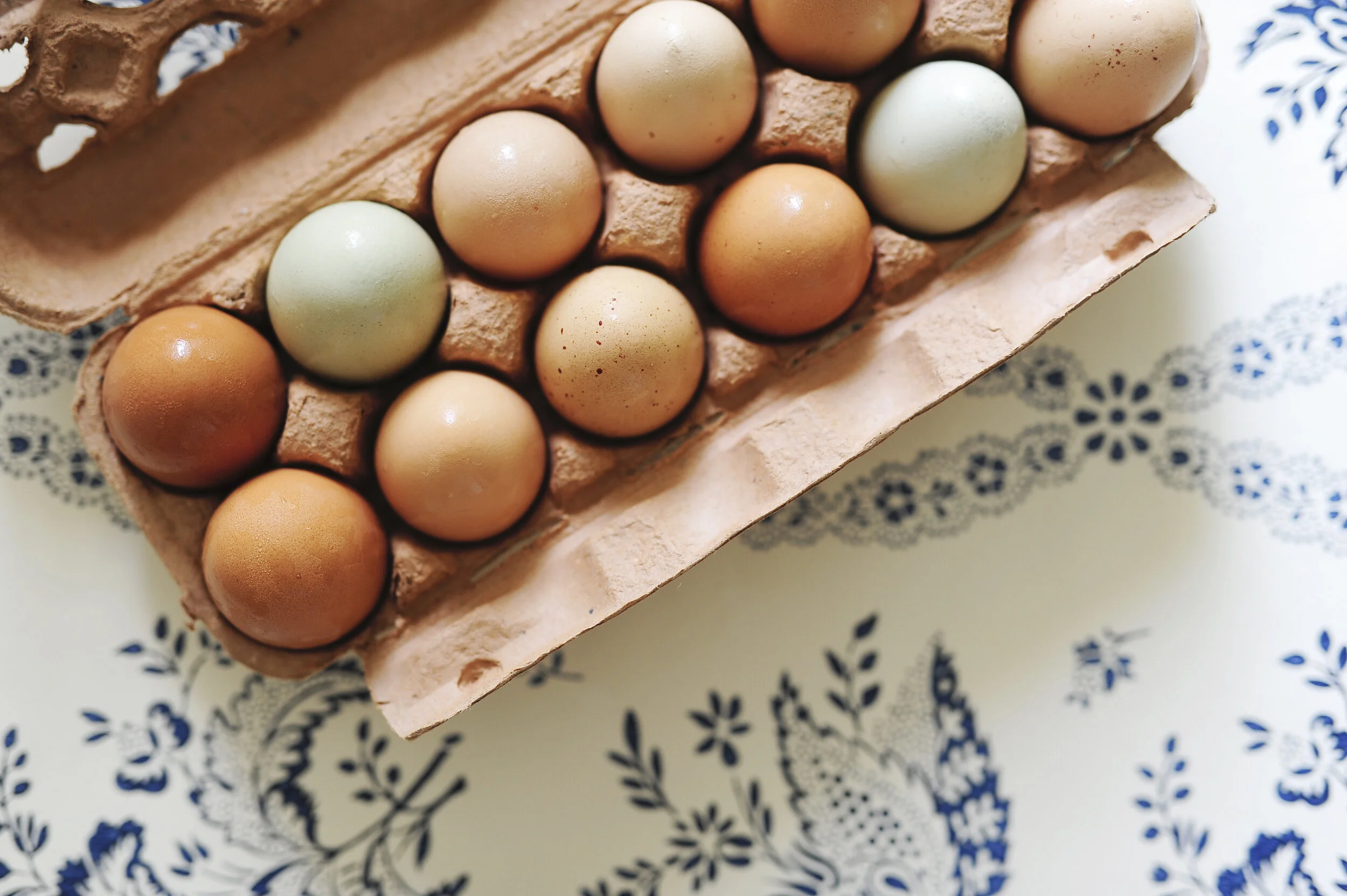 wildrootseggs04.JPG