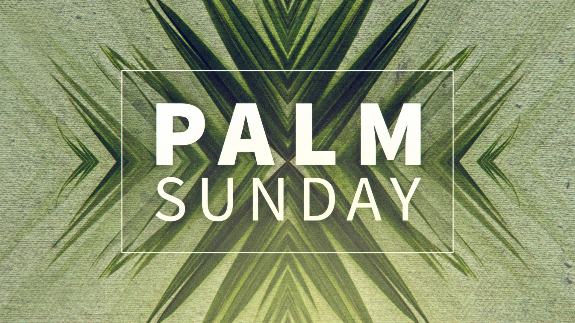 palm_sunday_hd.jpg