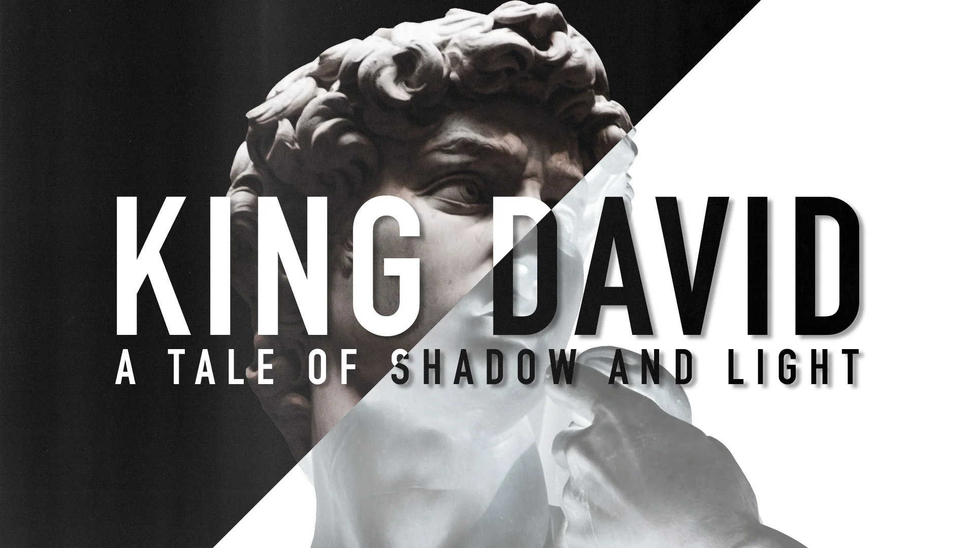 David_Series.jpg