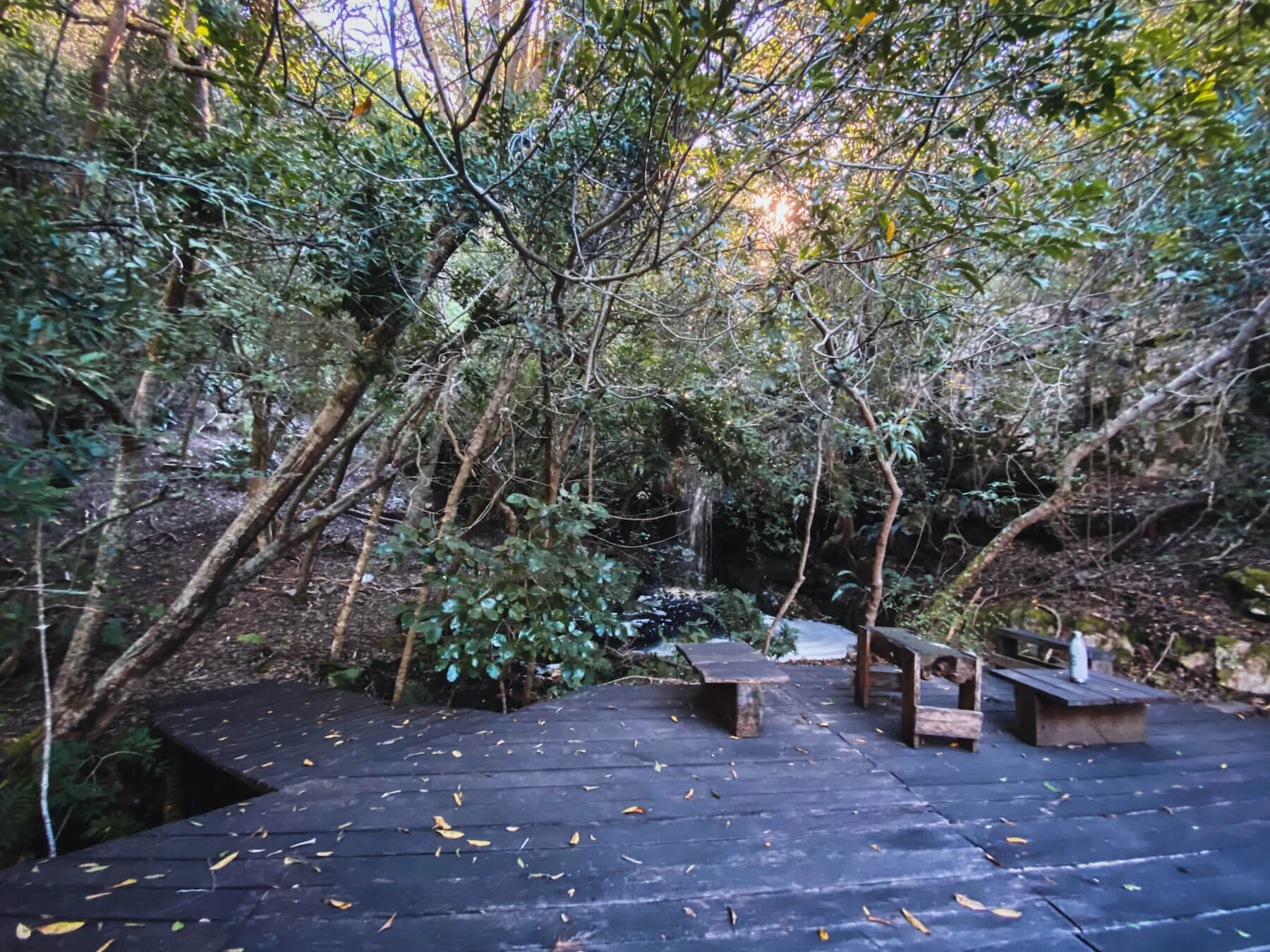 Tierfontein-Rondawel-Pool-Surrounds-8.jpg