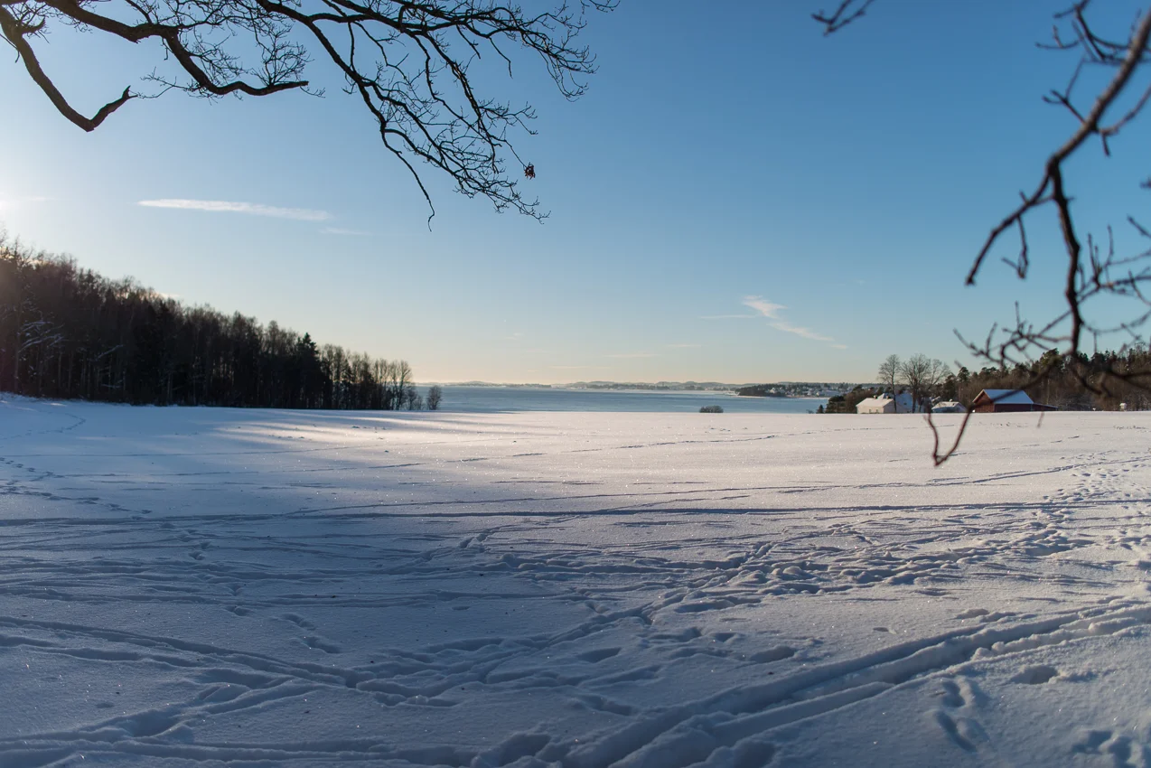 _DSC4755.jpg