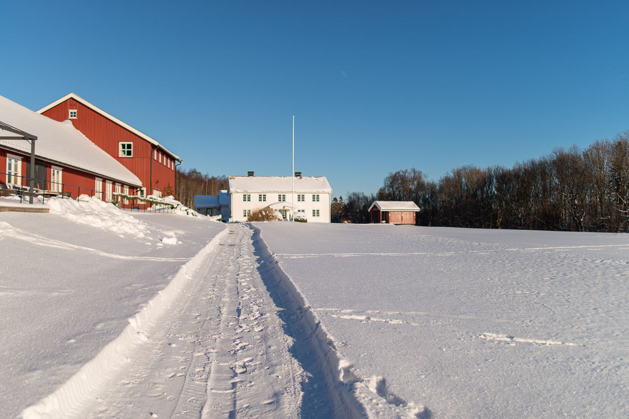 _DSC4776.jpg