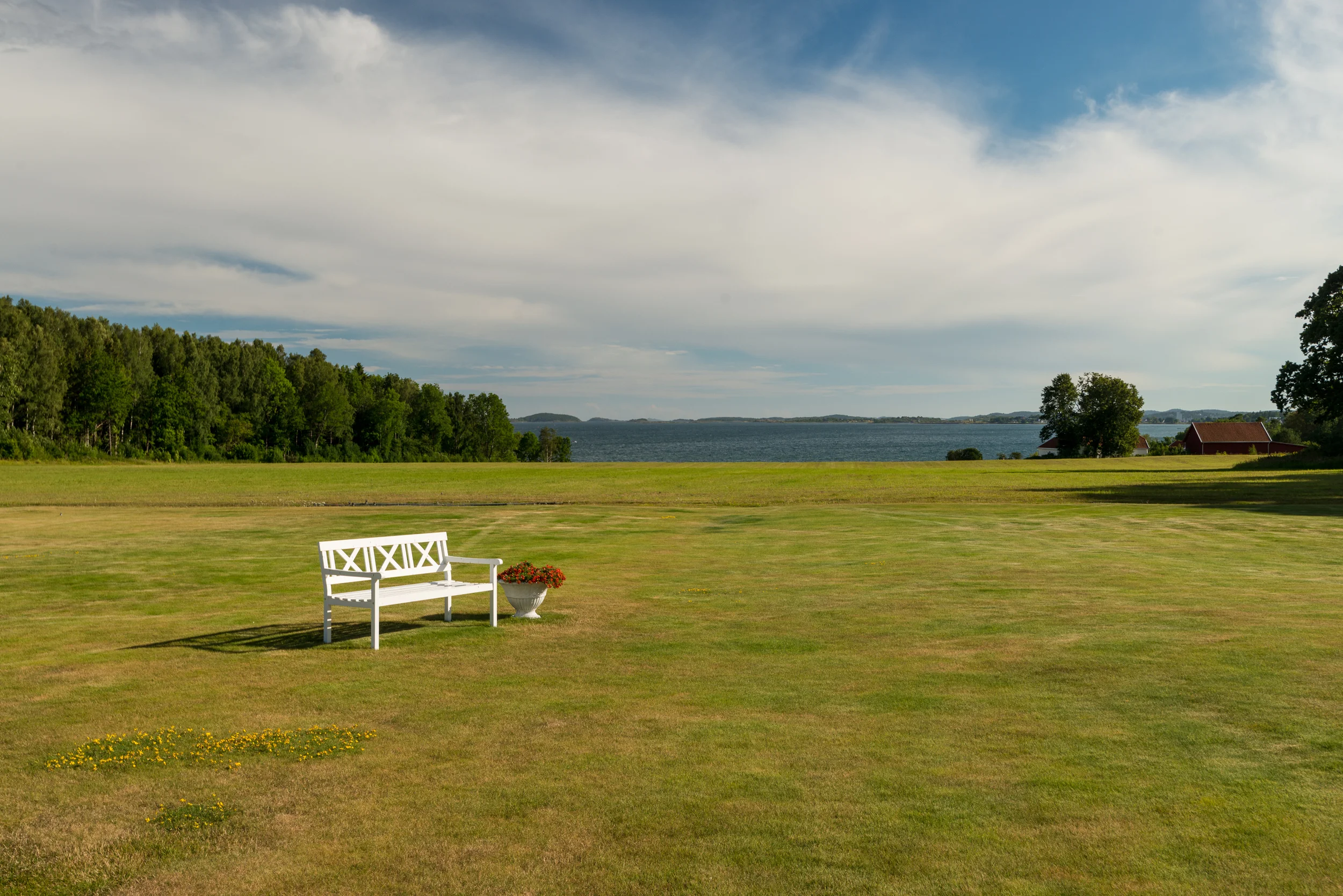 _DSC8237.jpg