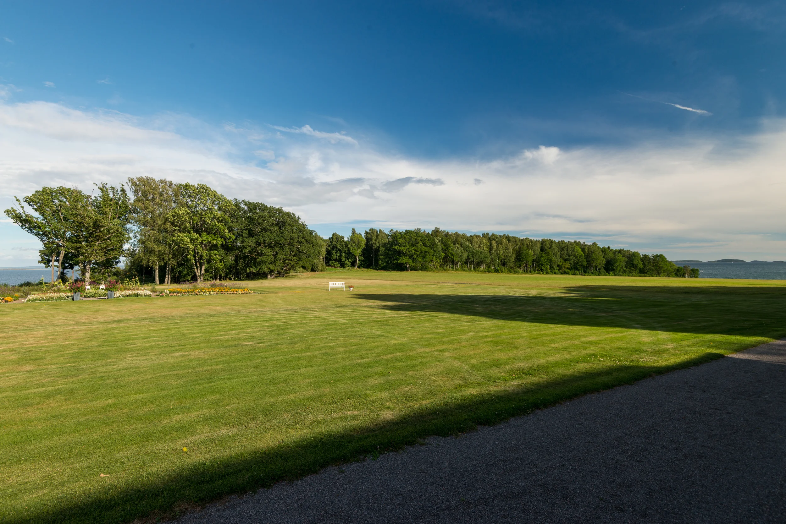 _DSC8255.jpg