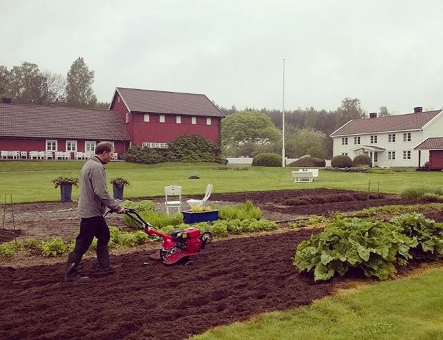 Klargj&oslash;ring til planting i urtehaven🌱