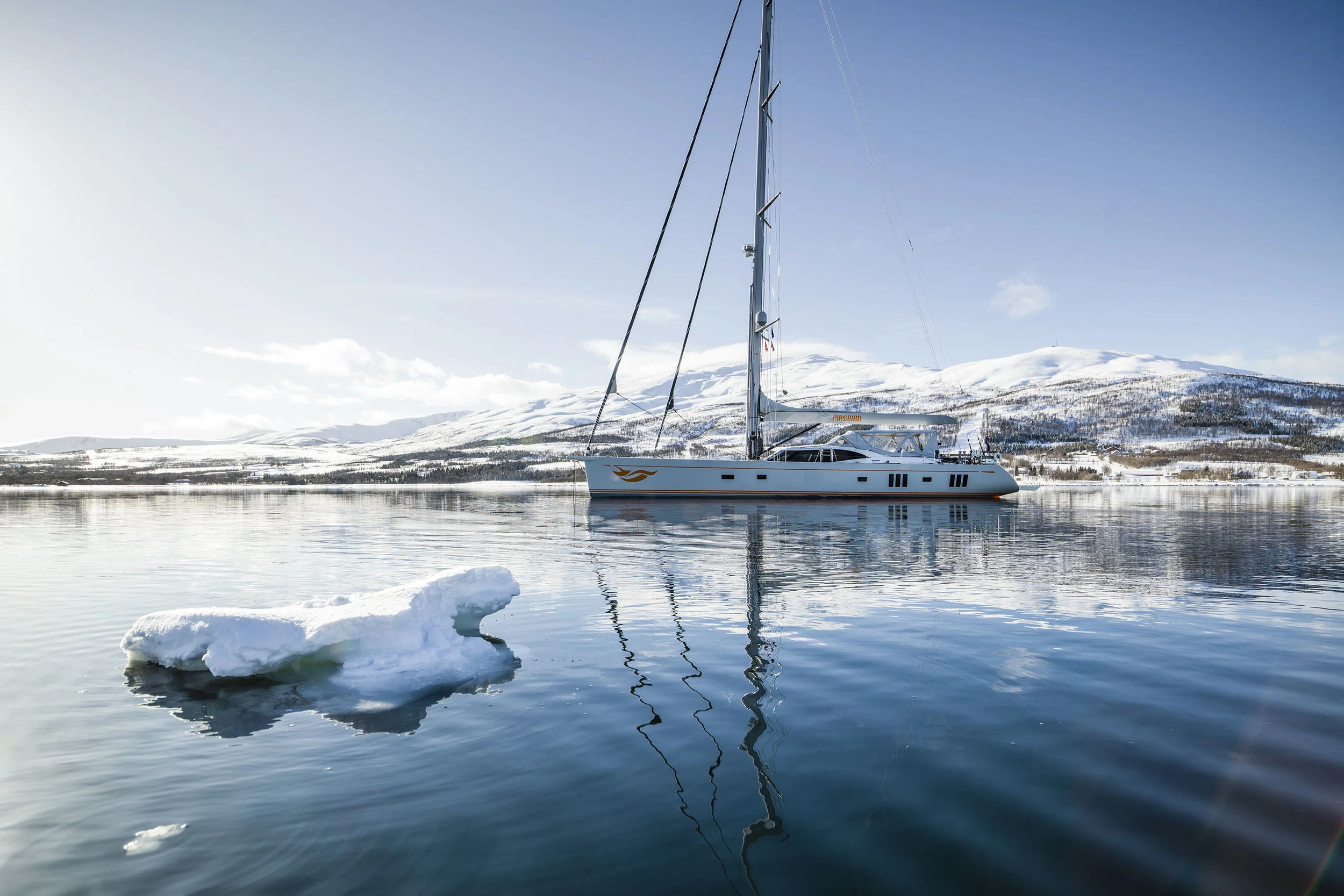 Firebird mobile .jpg