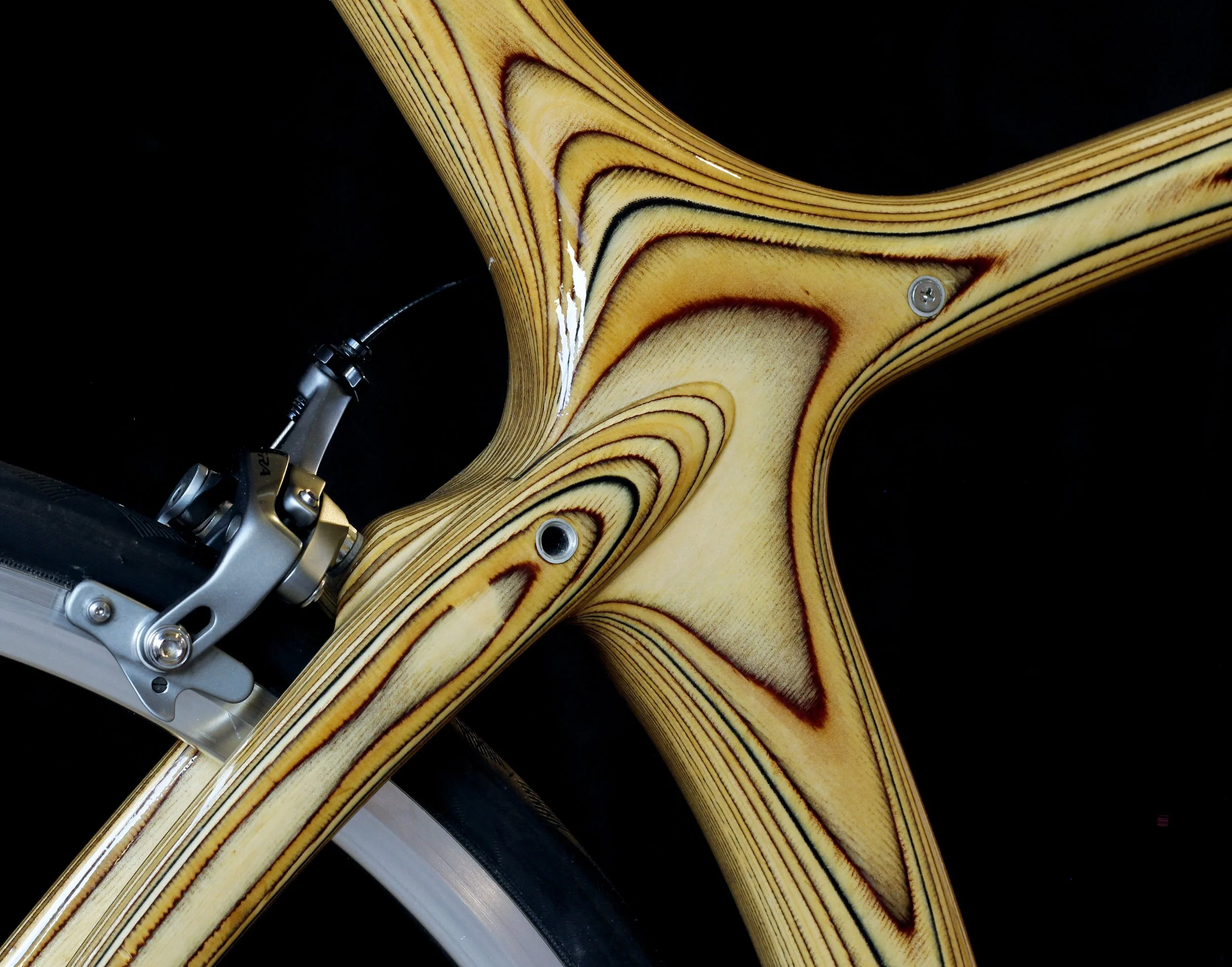 TW16_detail1.jpg