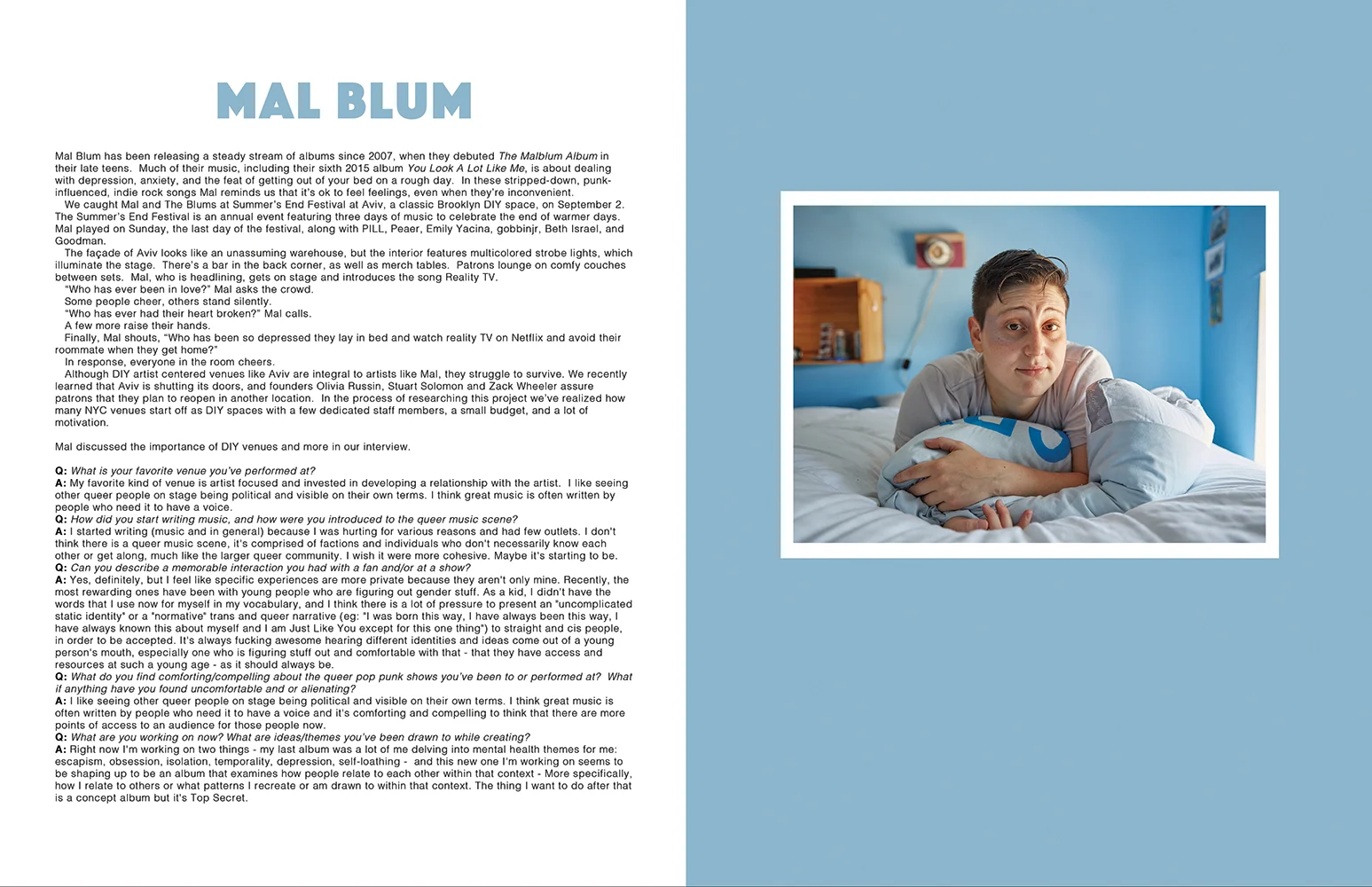 7DIYMusicZine-MalBlum.jpg