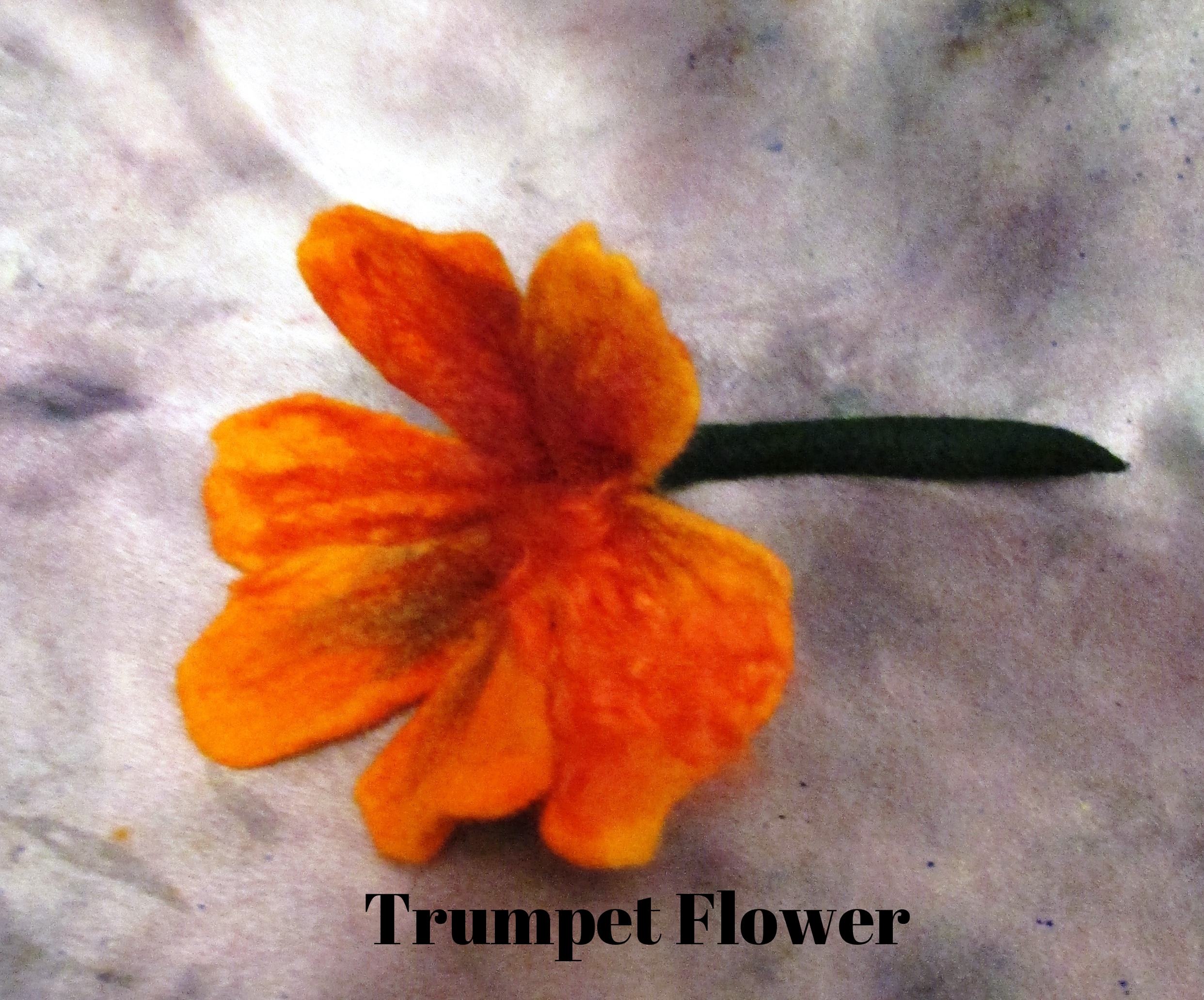 trumpet flowers.JPG