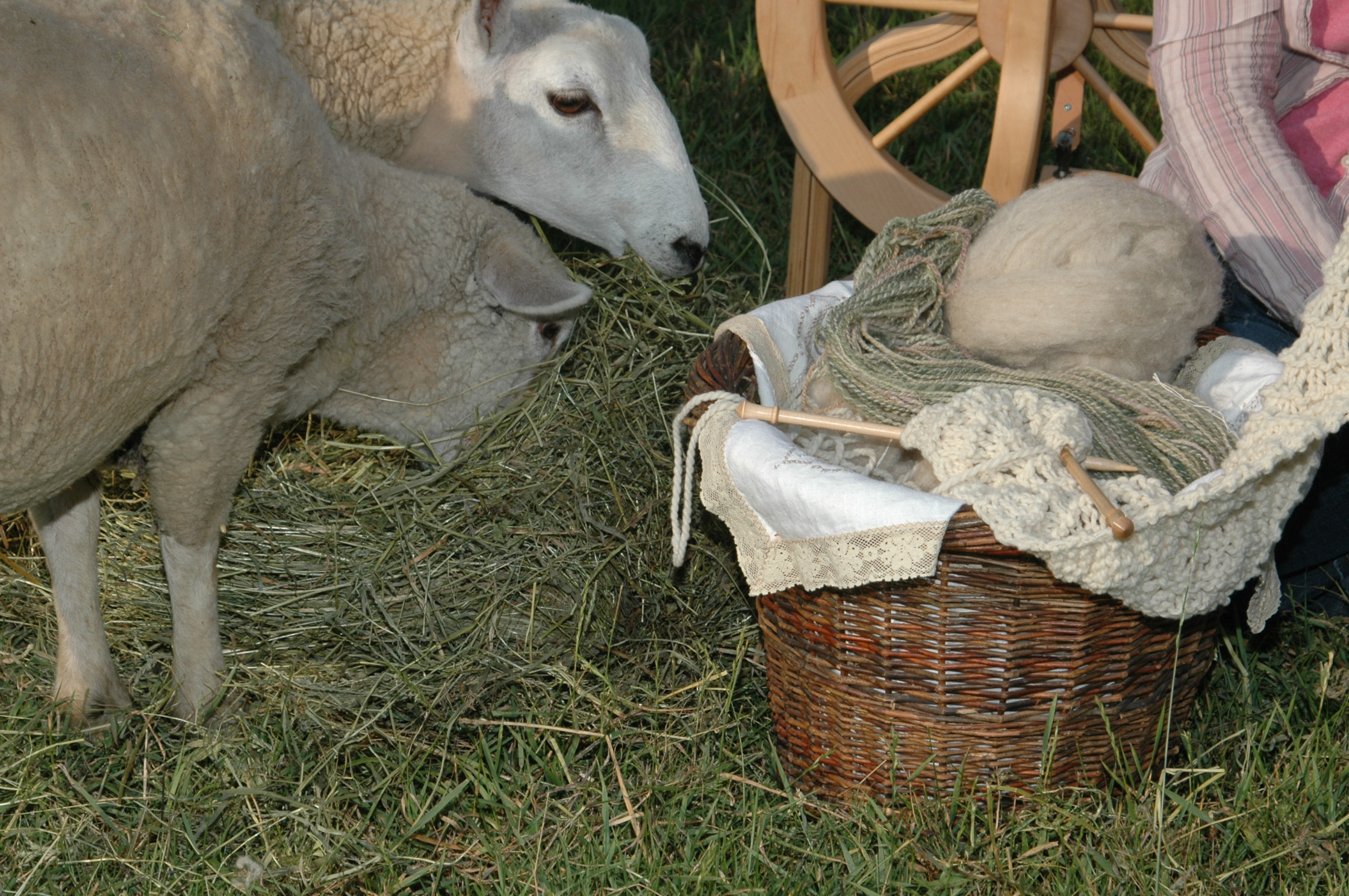 Spinning Life's Yarns.jpg