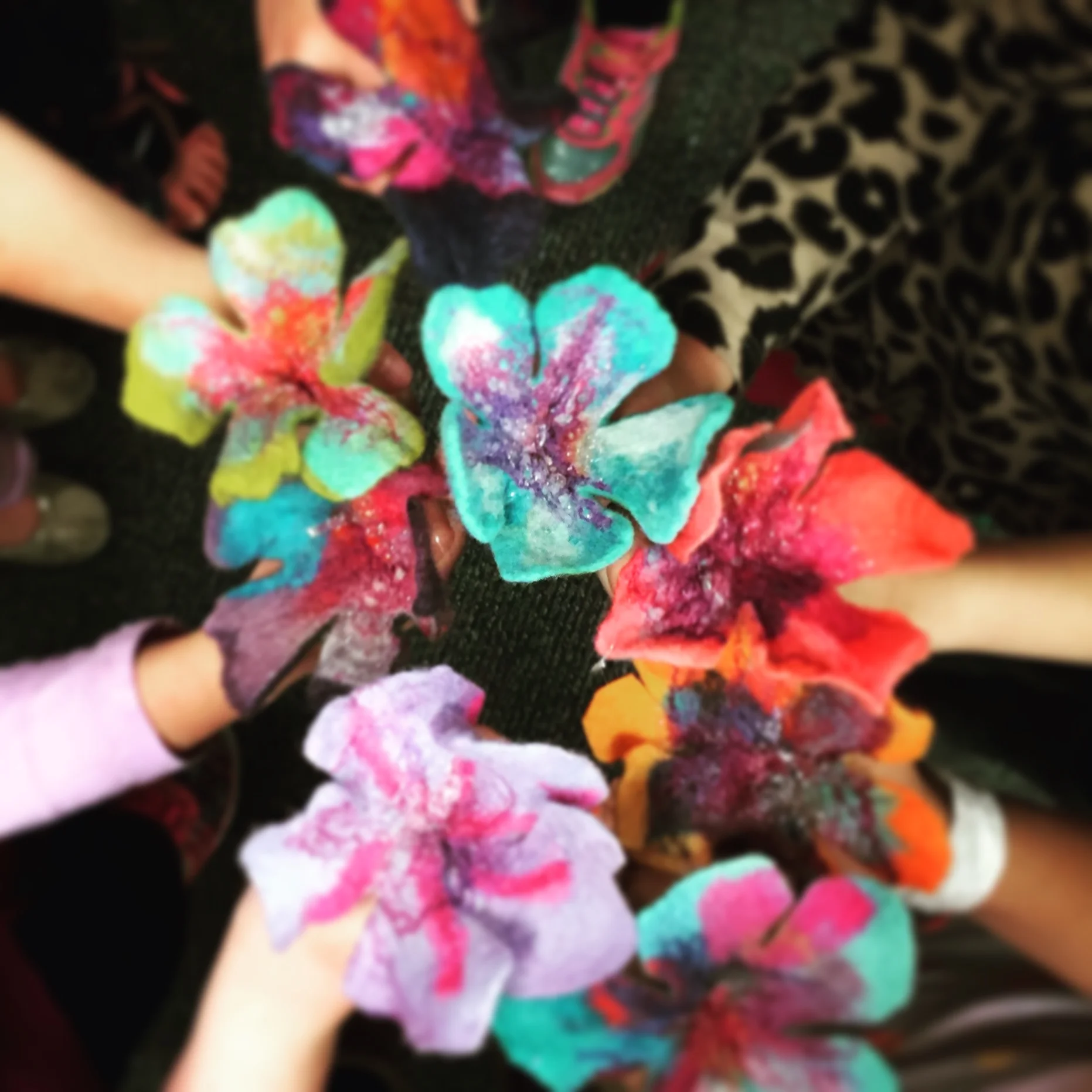 Class: Girl Scouts of Northern Illinois 