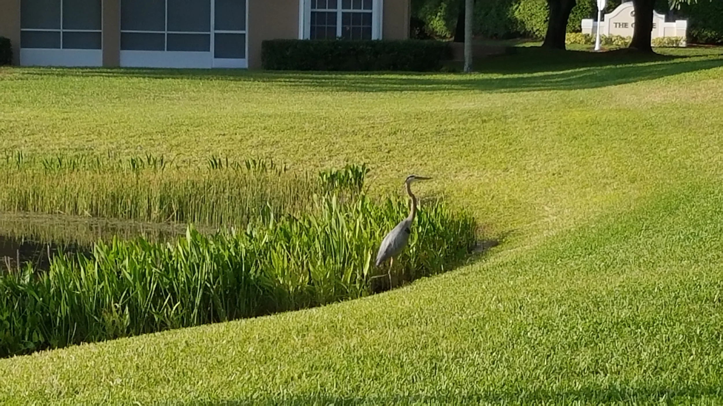 20160512_184645.jpg