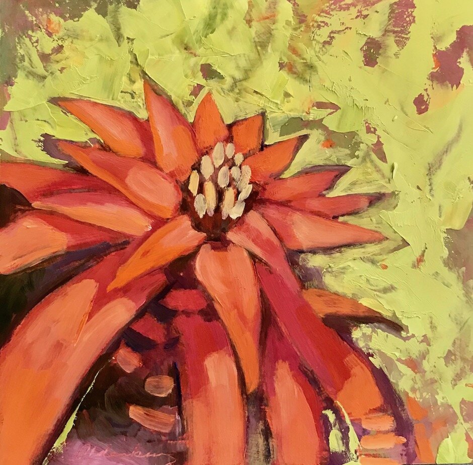 Bromiliad . oil on cradled panel . 6" x 6" . $125