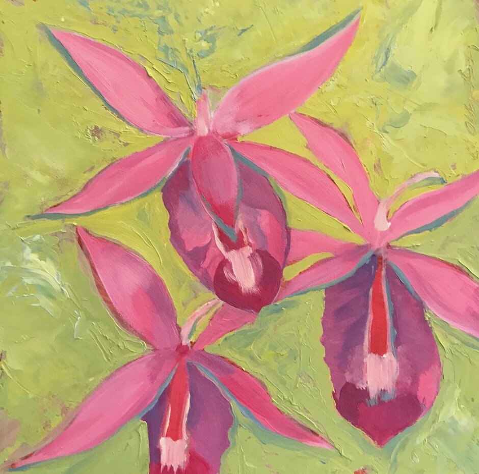 Orchid . oil on cradled panel . 6" x 6" . $125