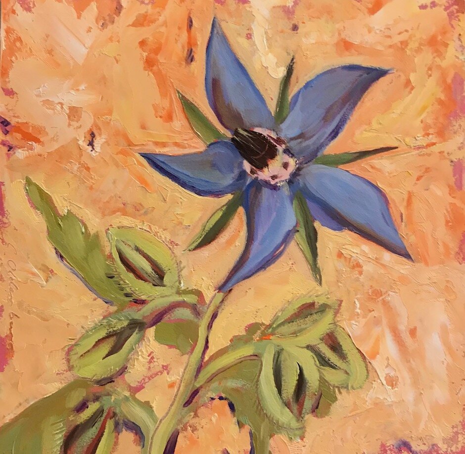 Star Flower . Oil on cradled panel . 6" x 6" . $125