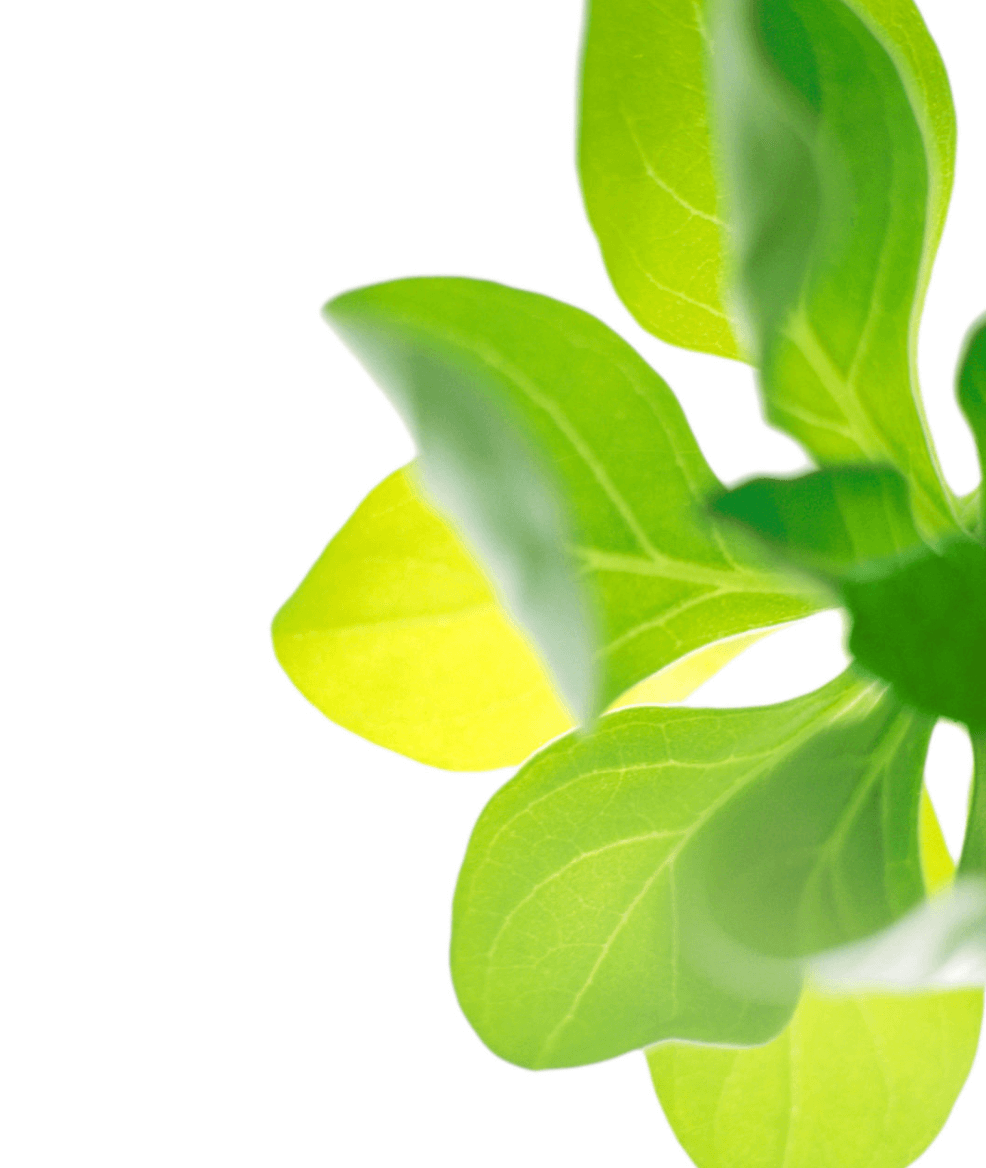 Como hotels and resorts