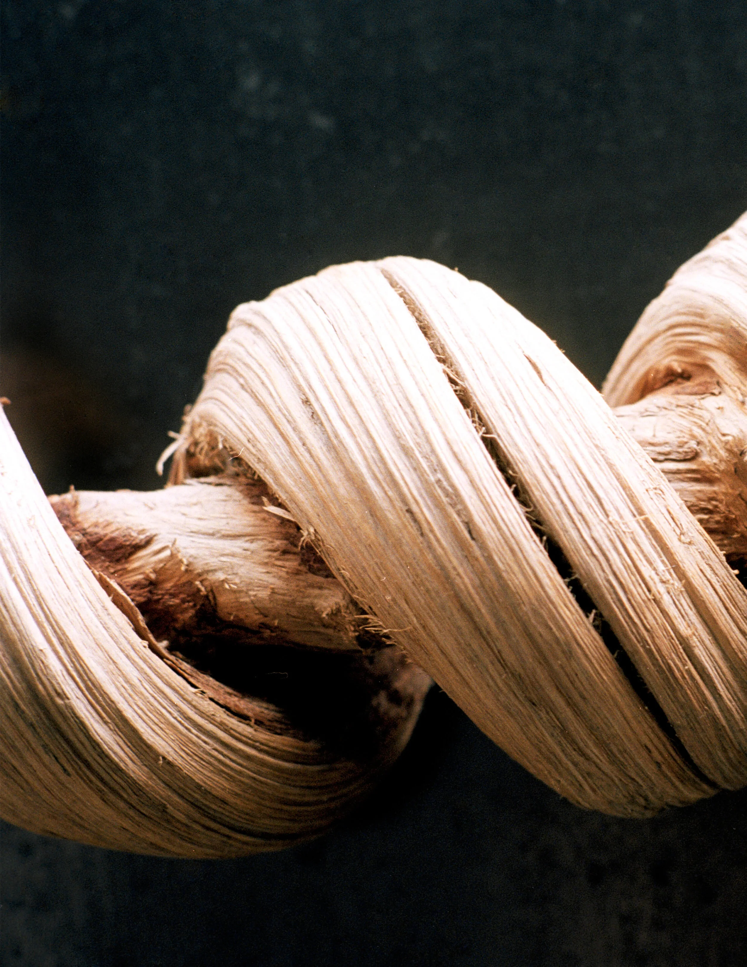 Uma Ubud/Como hotels and resorts