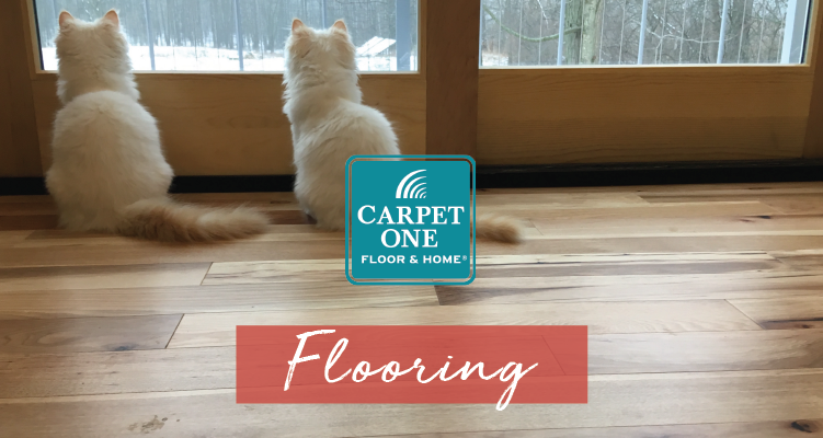 Merkel Furniture Carpet One