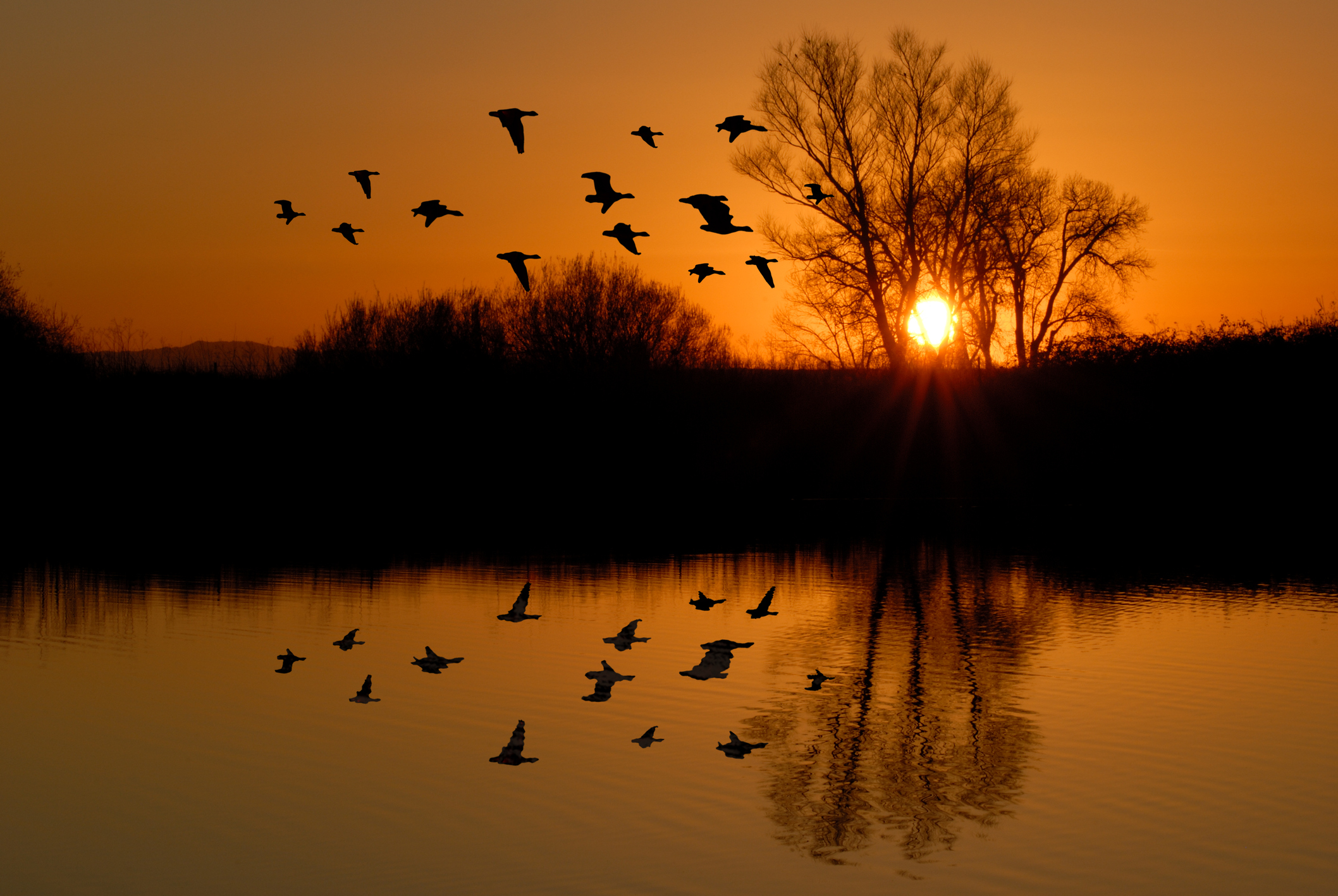 Photo by tntemerson/iStock / Getty Images