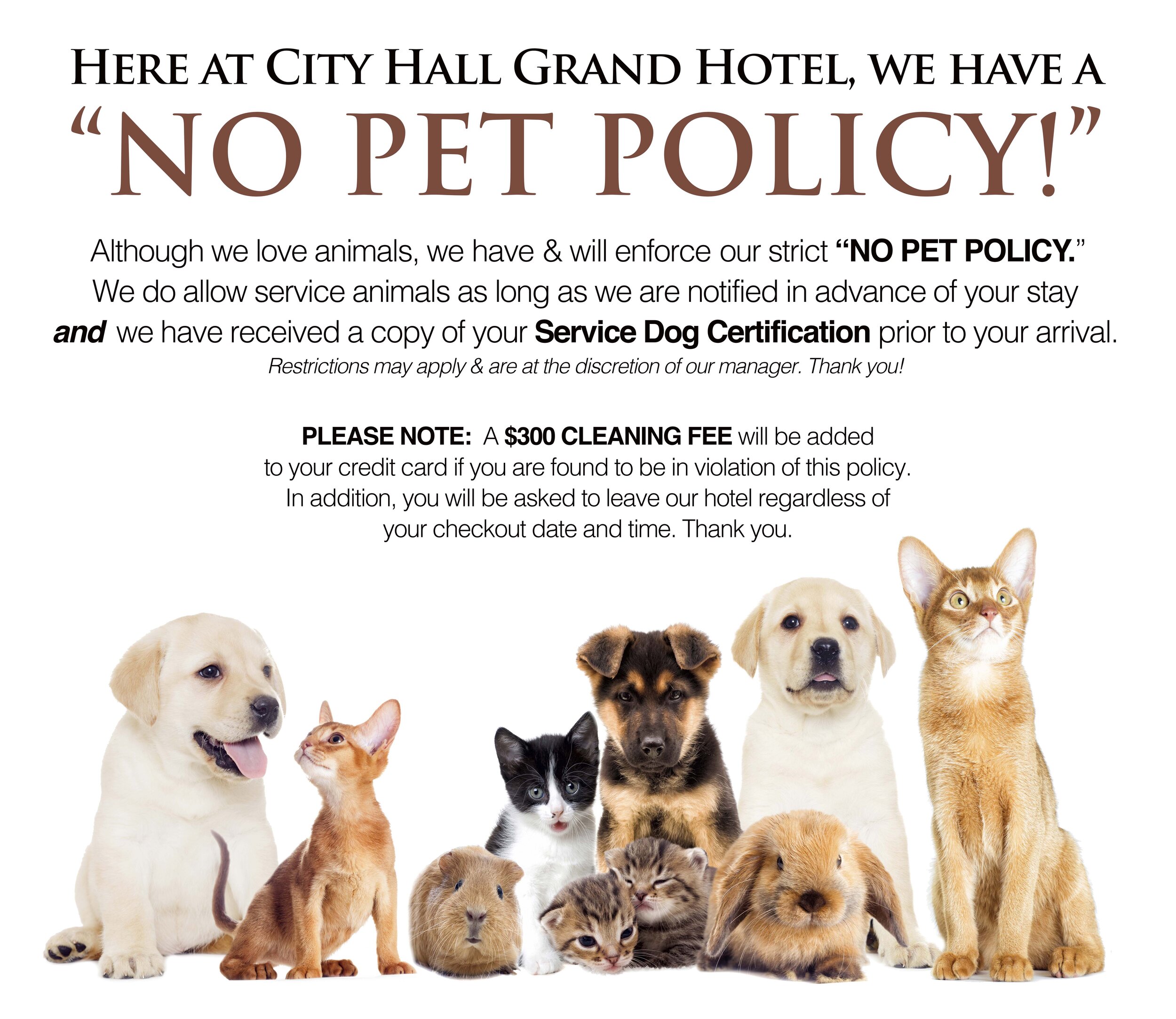 can a hotel ask for service dog papers