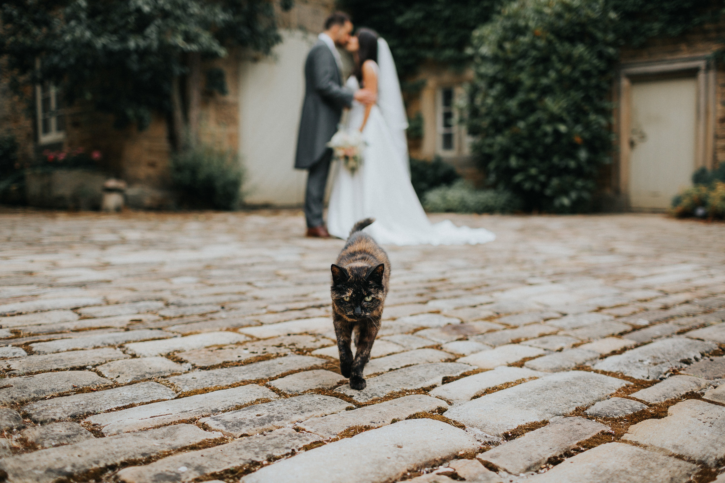 Surrey Wedding Photographer102.jpg