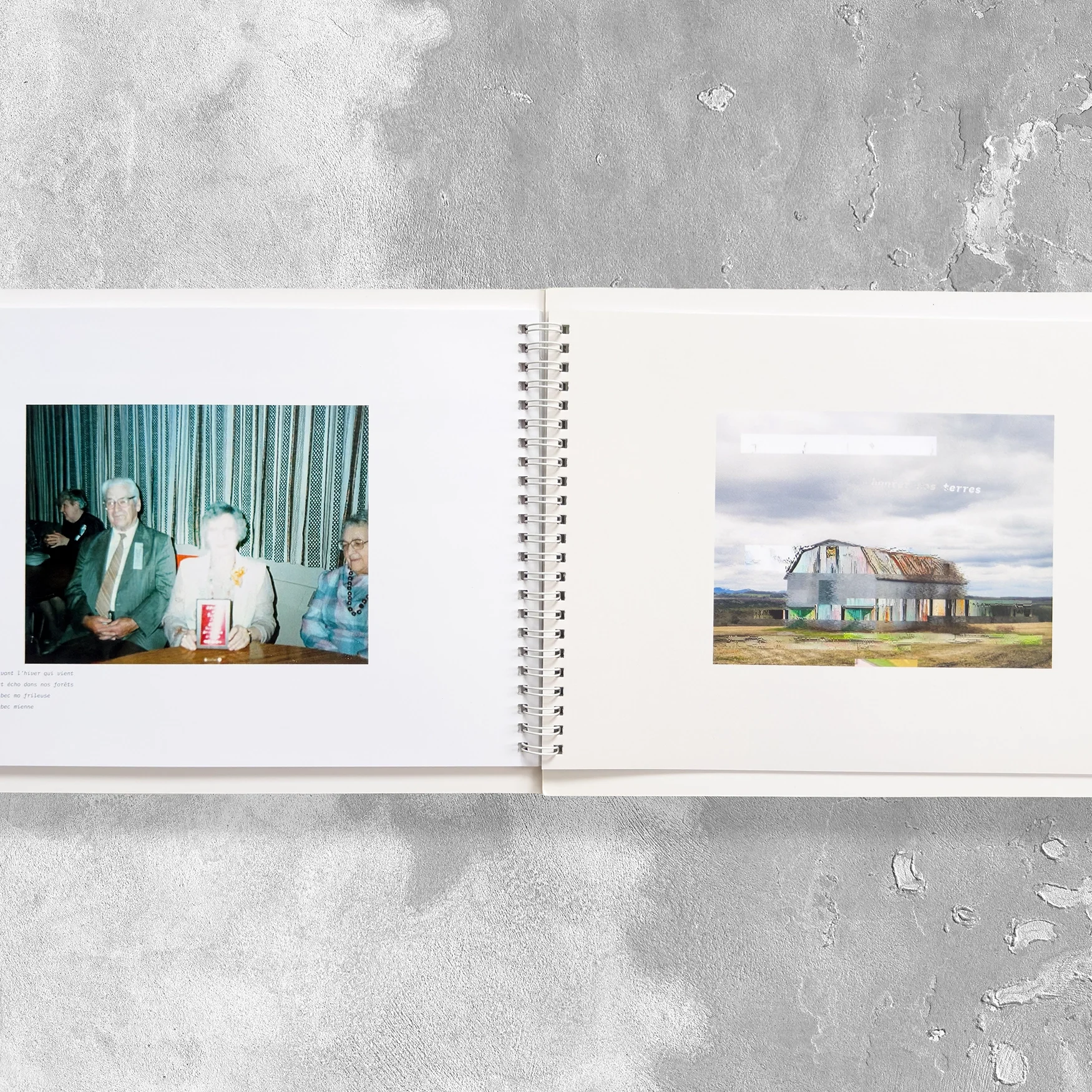 Isabelle-gagn-hektor-livre-03 copy.webp