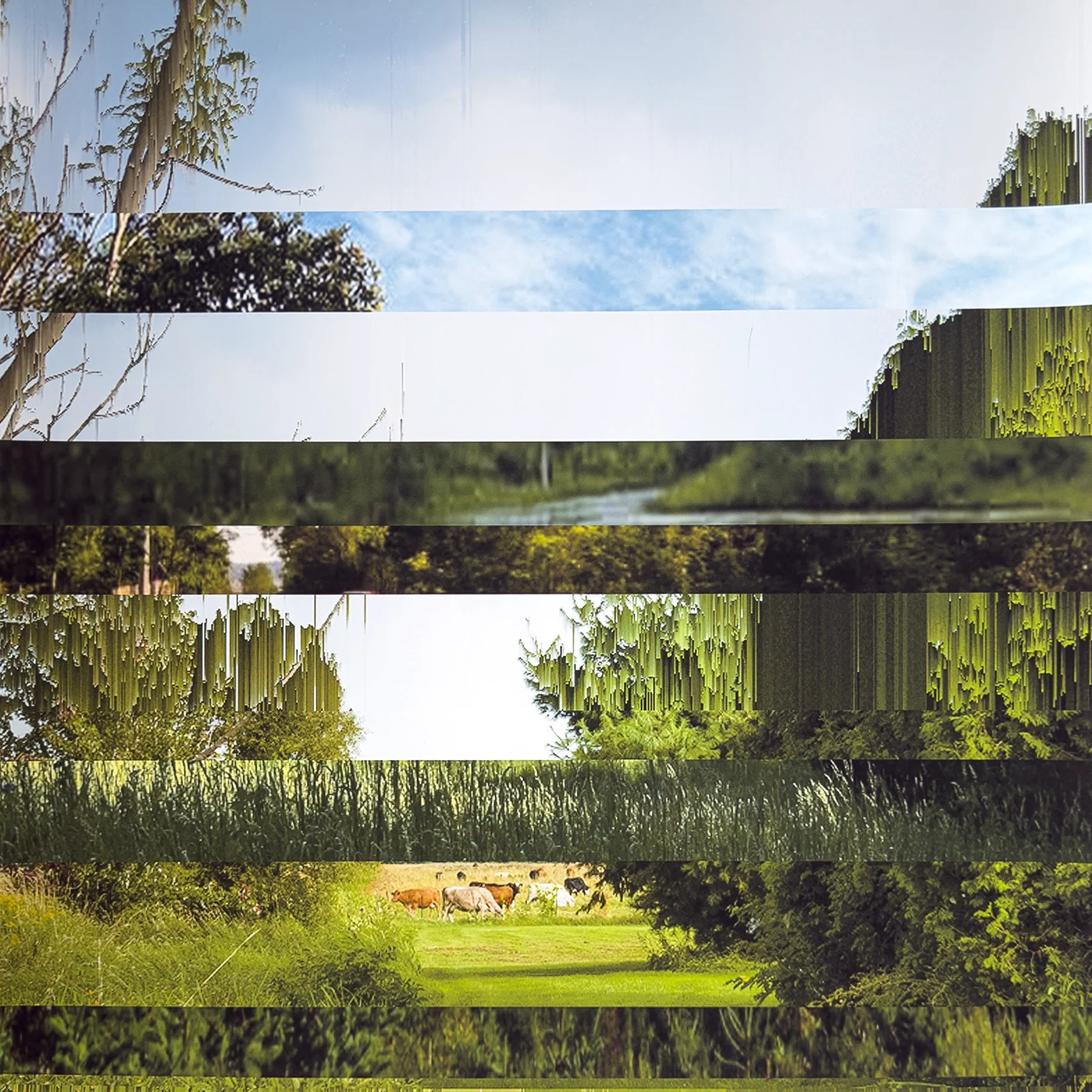 Isabelle-gagne-stratotype-16x16-estrie copy.webp