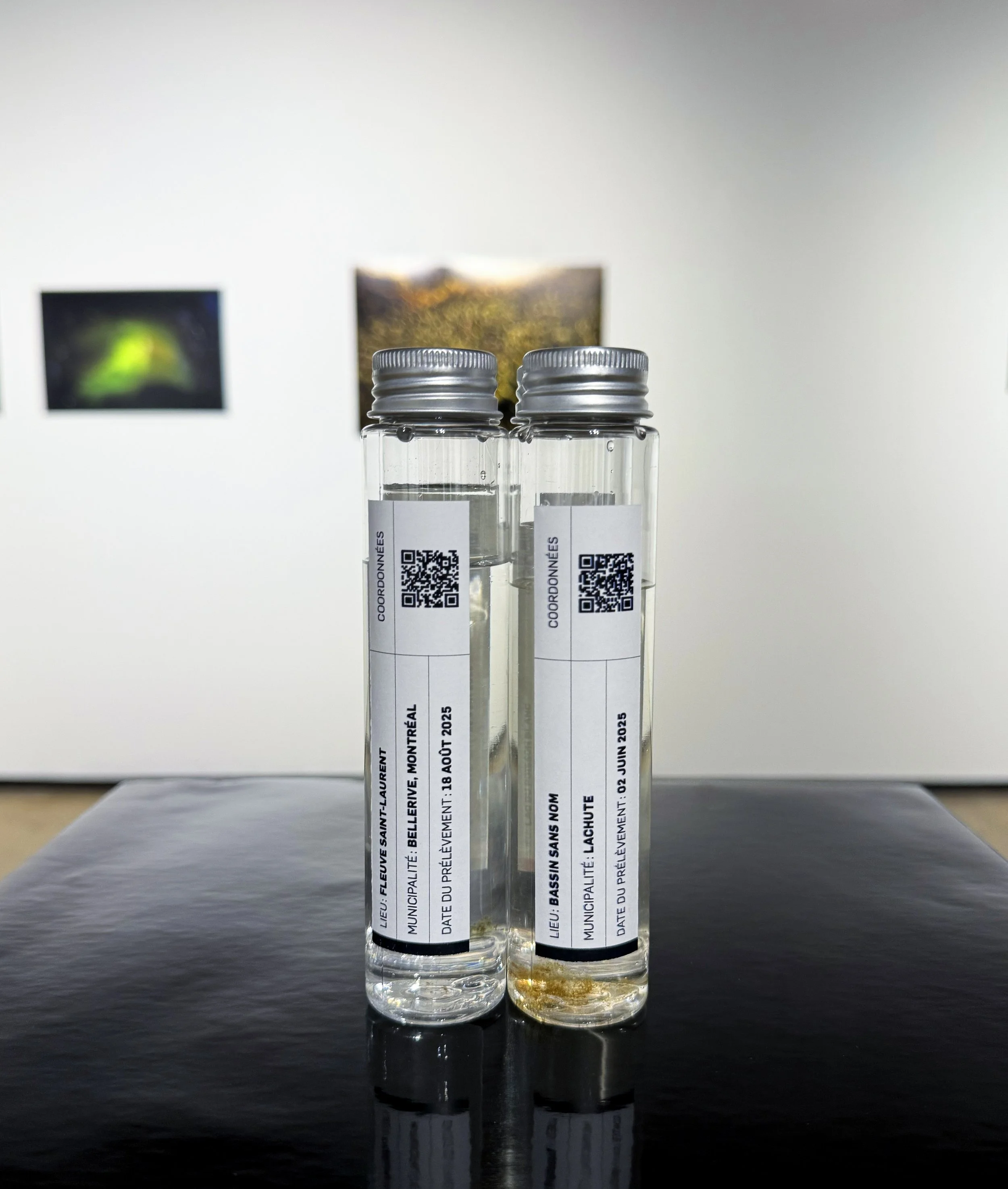 Confluences-01 copy.jpg