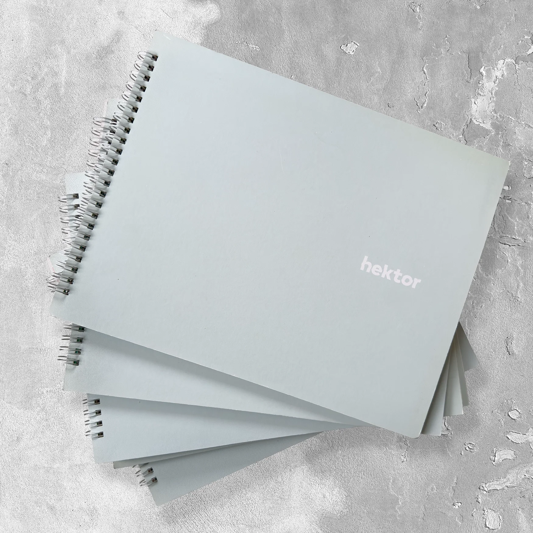 Hektor — Livre d'artiste