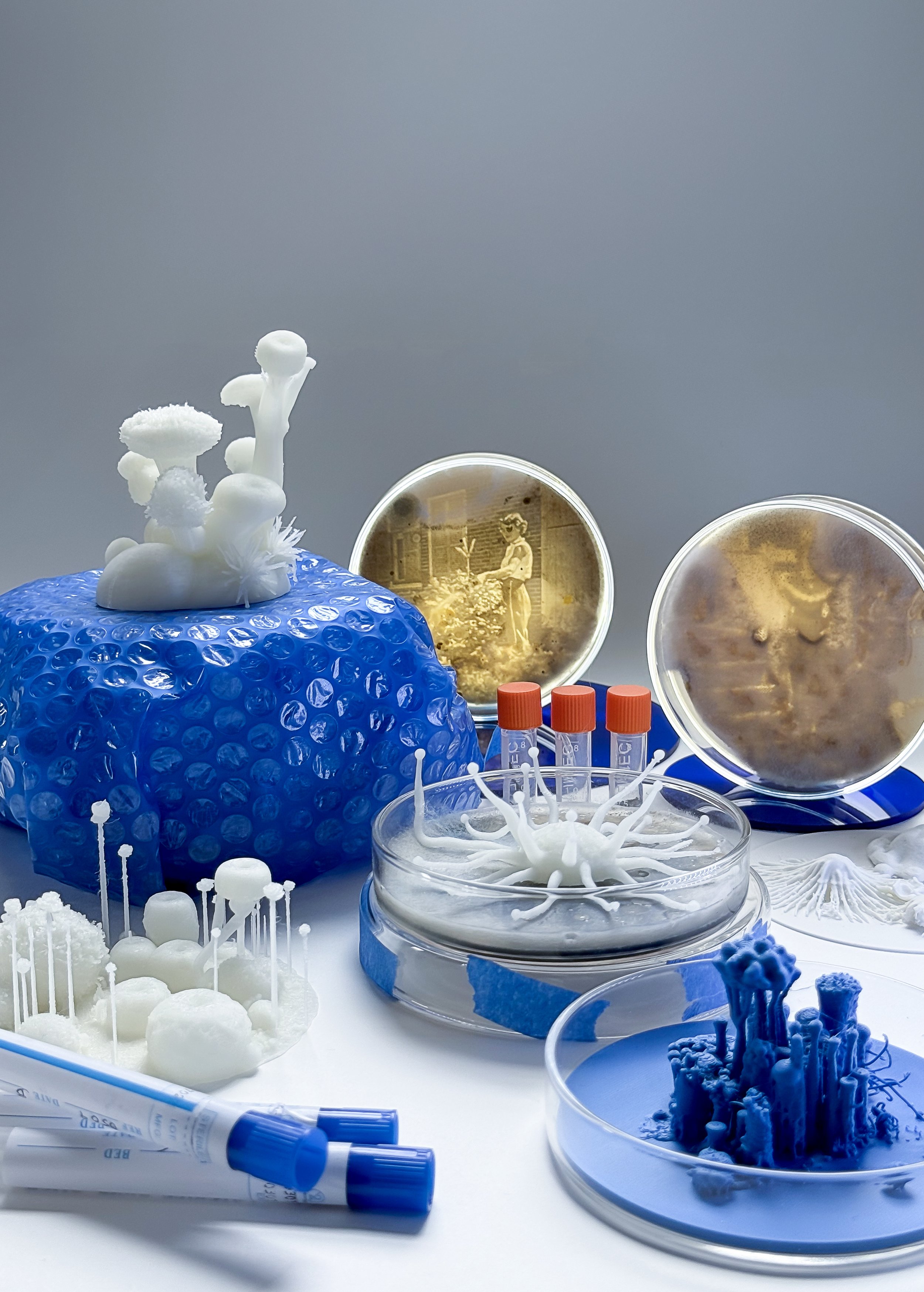 IsabelleGagne-IMG_1263 2.jpg